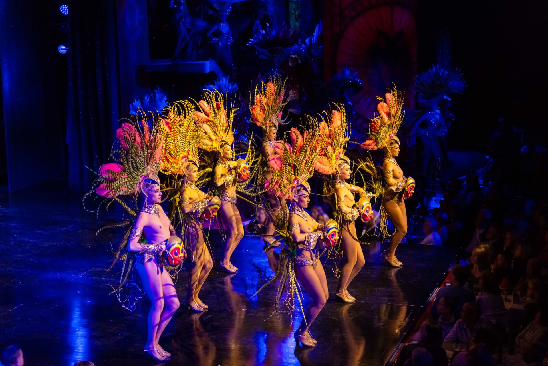 Moulin Rouge Cabaret Show and Paris Bus Tour - main image