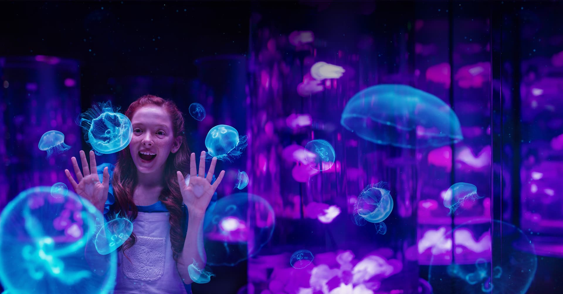 Entrada a Sea World Gold Coast - imagen 11