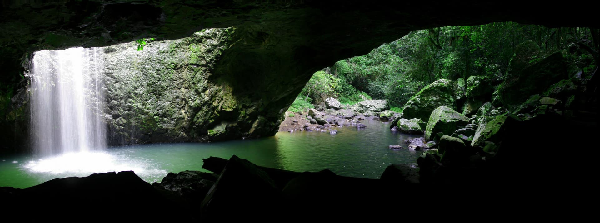Springbrook National Park Tour: Natural Bridge and Waterfalls - image 10