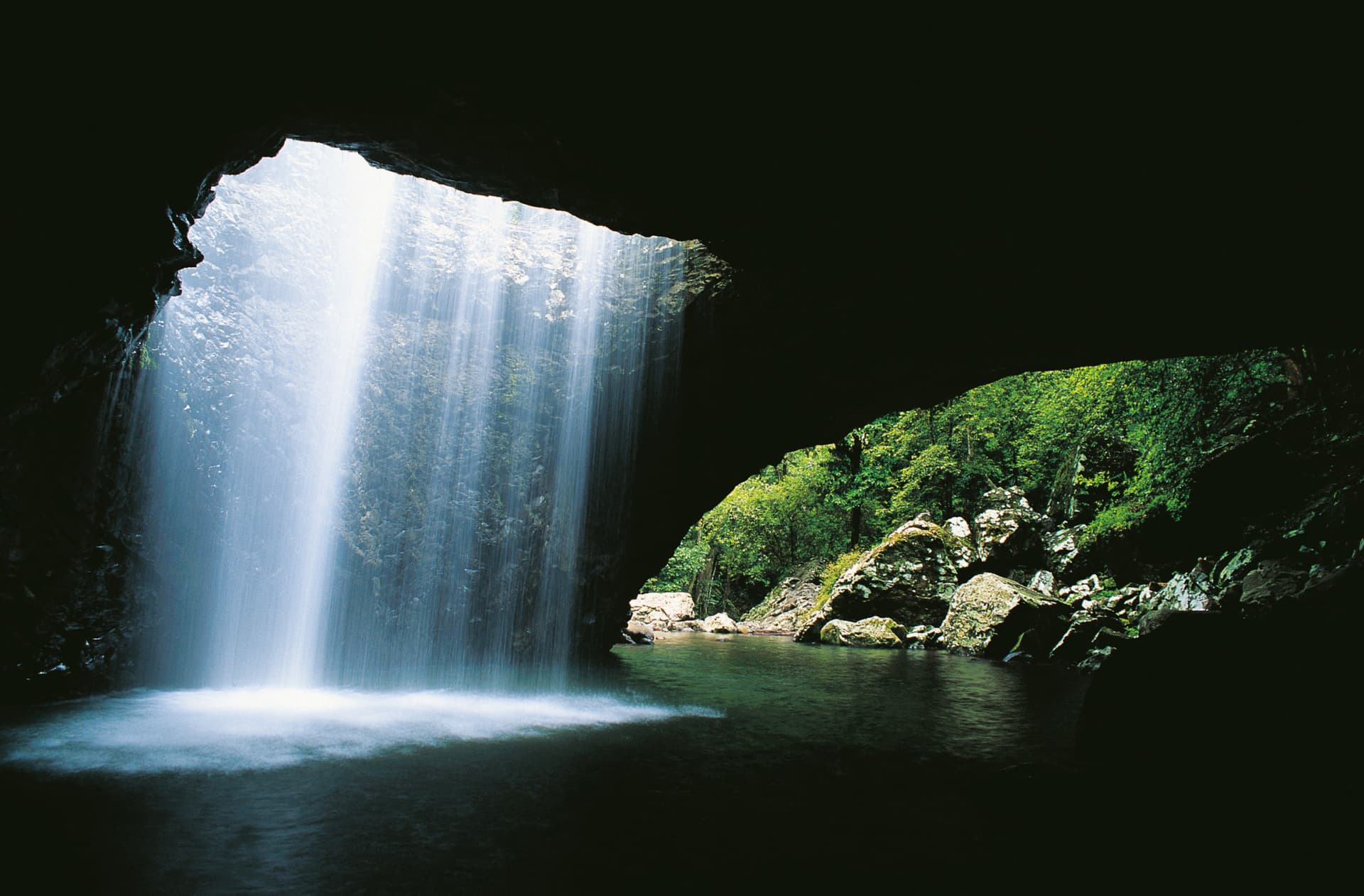 Springbrook National Park Tour: Natural Bridge and Waterfalls - main image