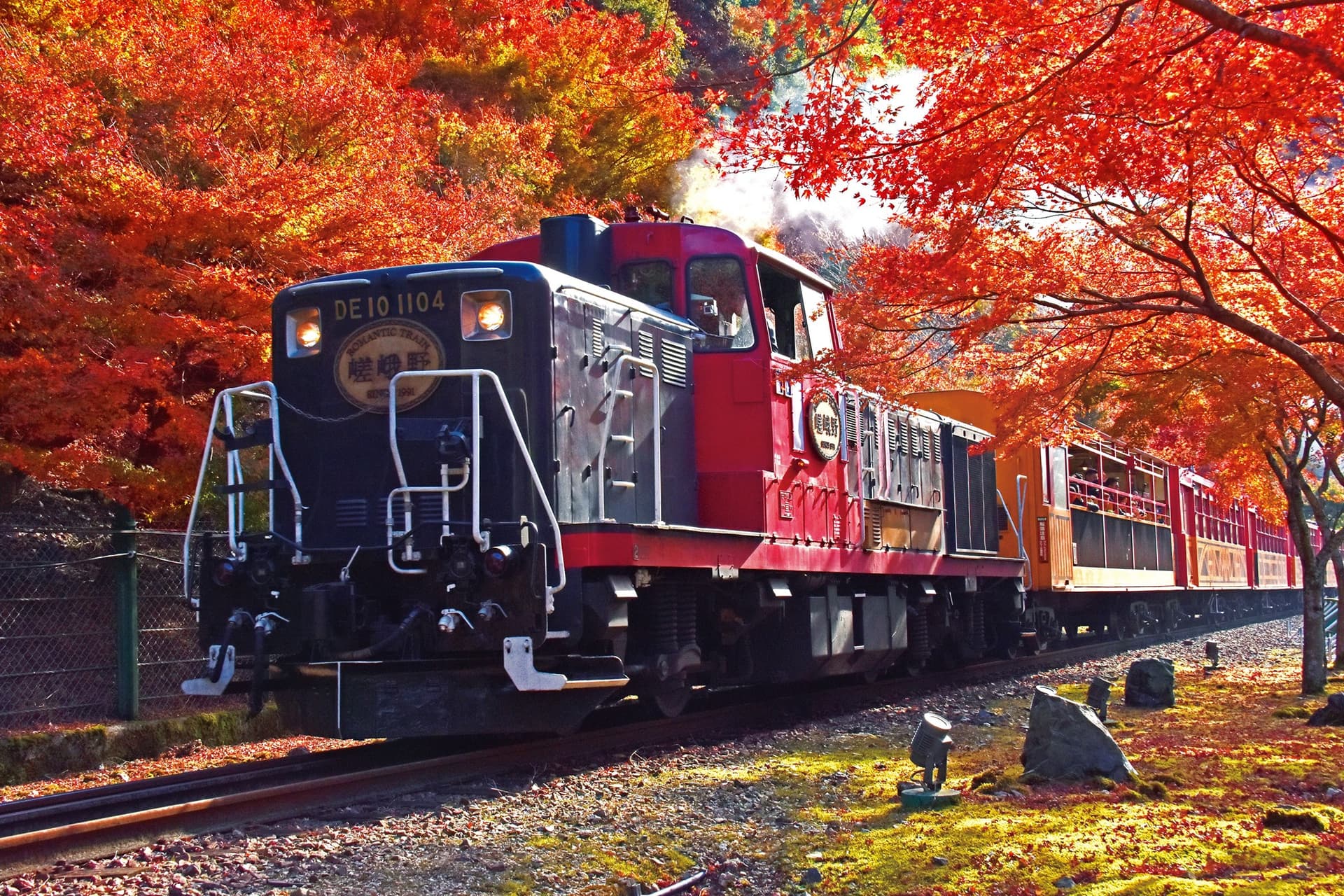 Sagano Romantic Train - image 7