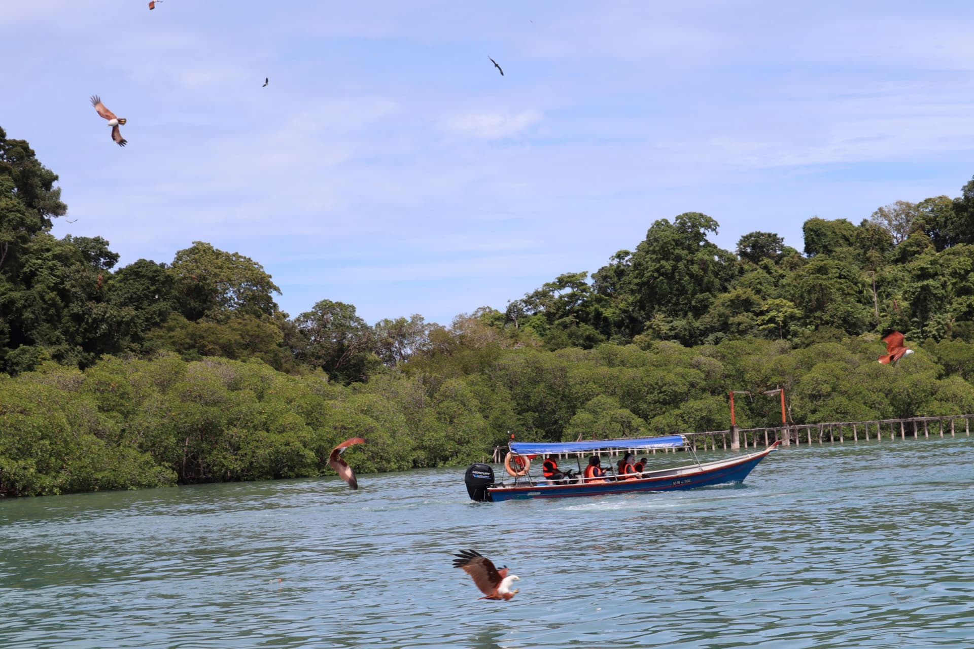 Langkawi Island Hopping Tour by Speedboat - image 7