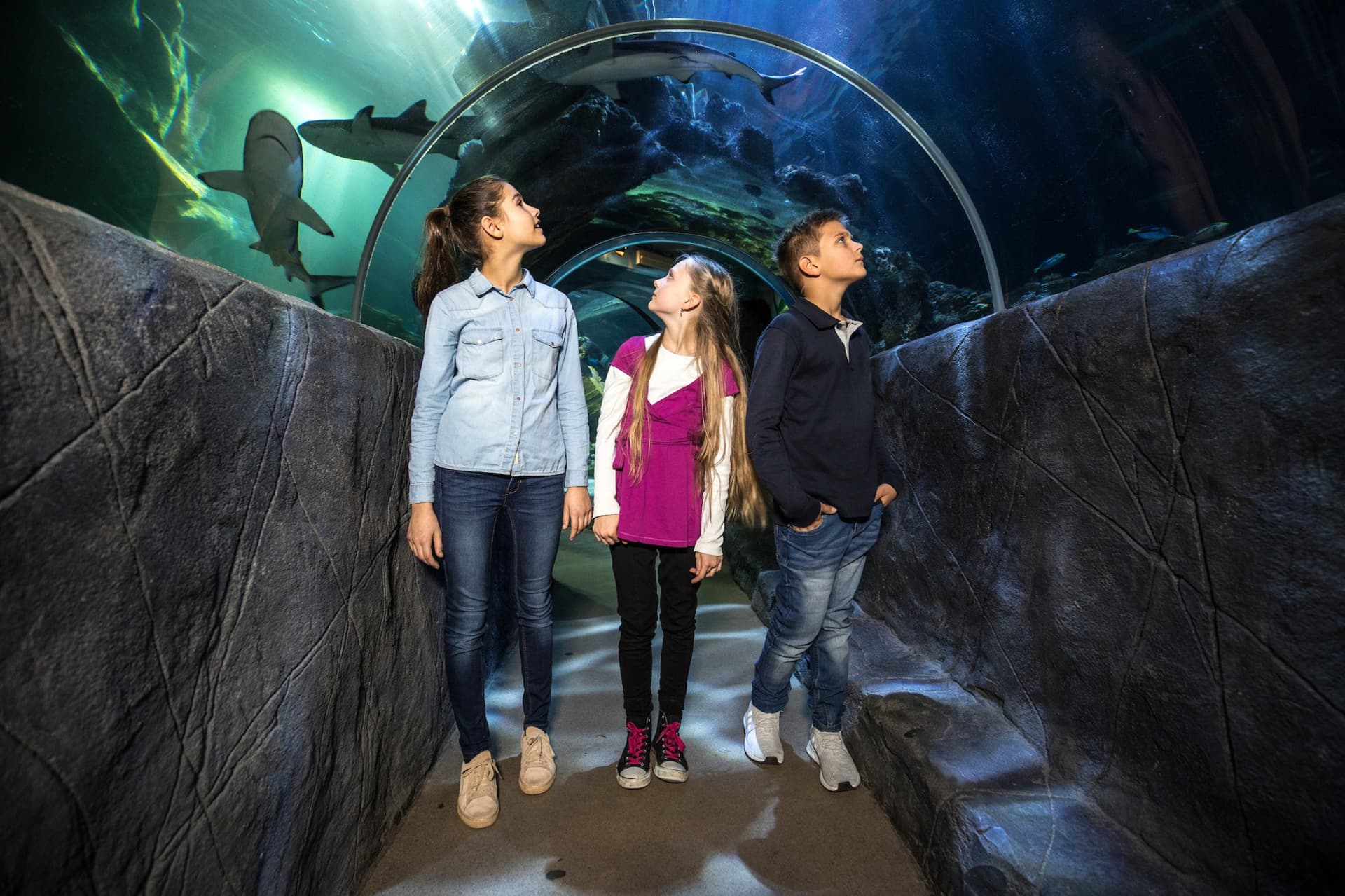 SEA LIFE Munich Aquarium Ticket - image 2
