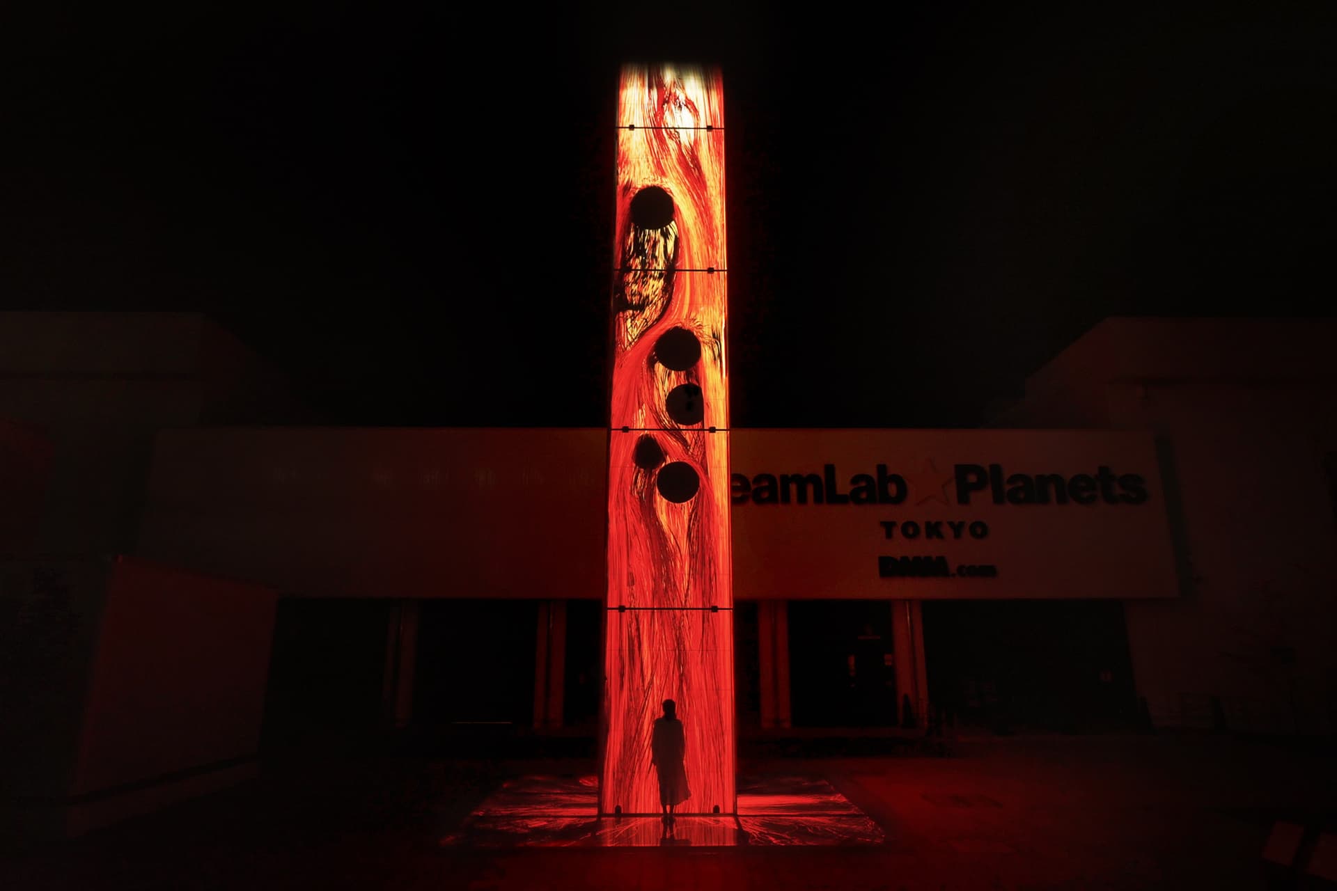Entrada para teamLab Planets TOKYO - imagen 13