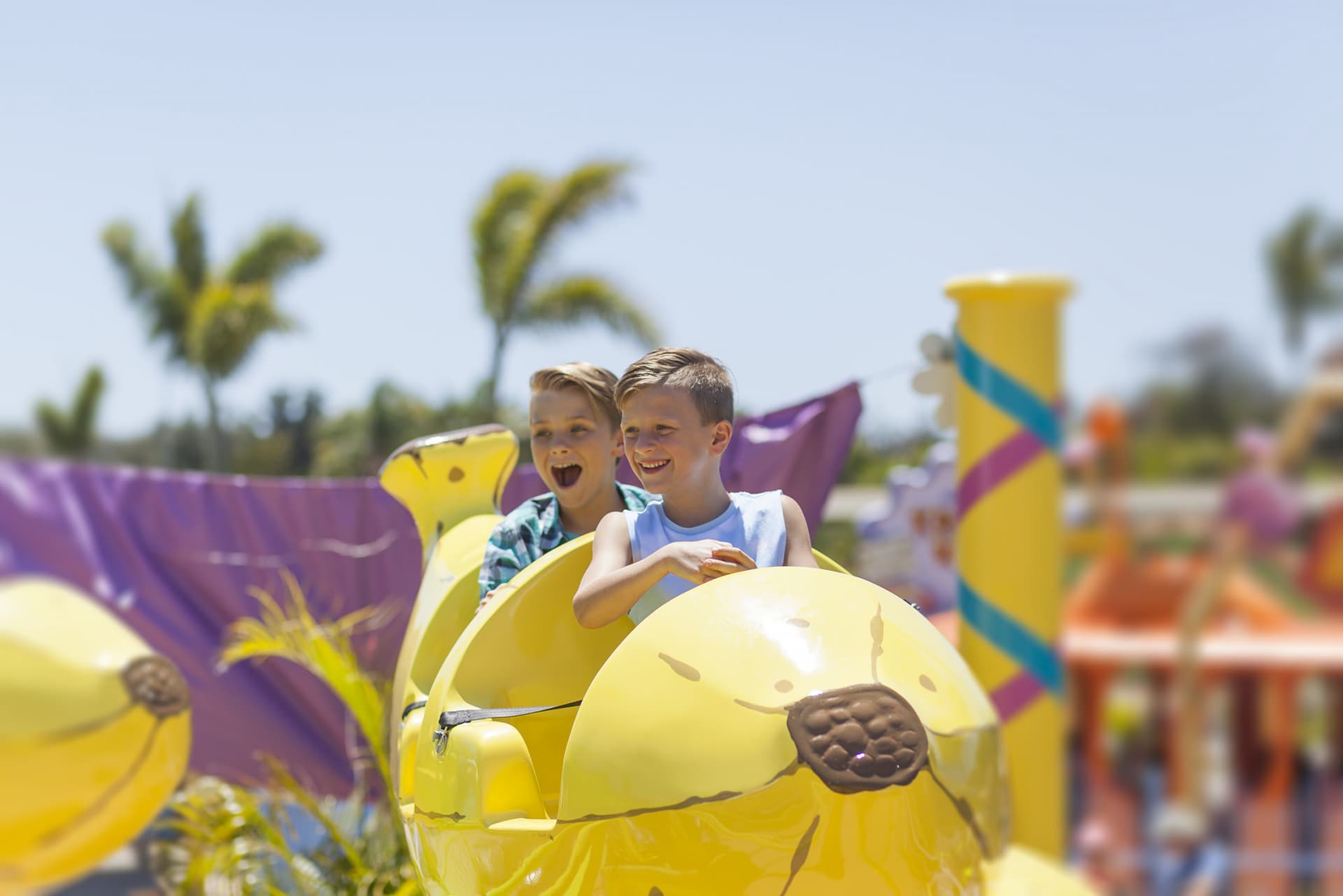 Entrada a Sea World Gold Coast - imagen 9