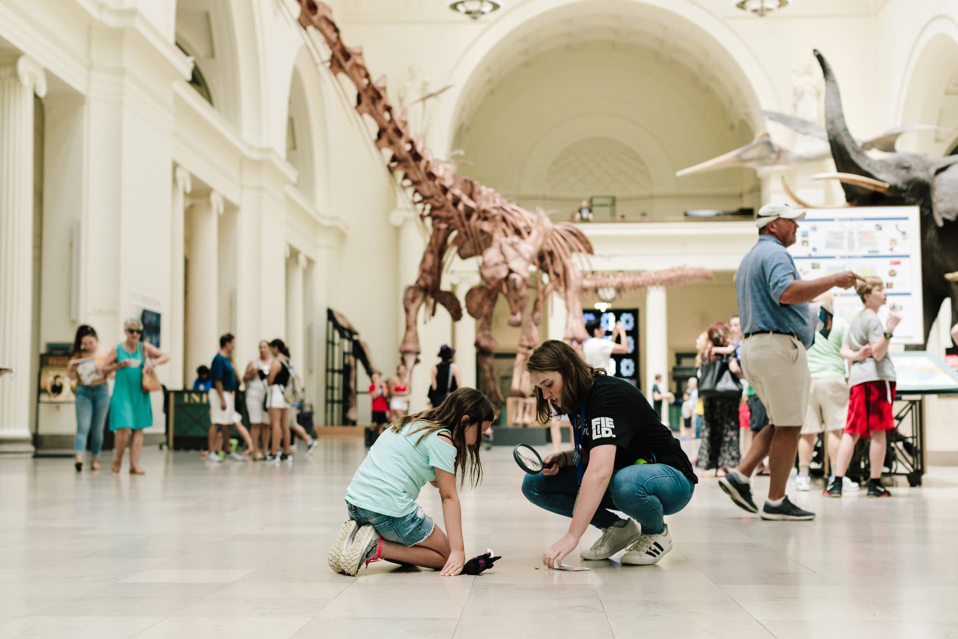 Go City Chicago All-Inclusive Pass: Save up to 50% on Attractions - image 34
