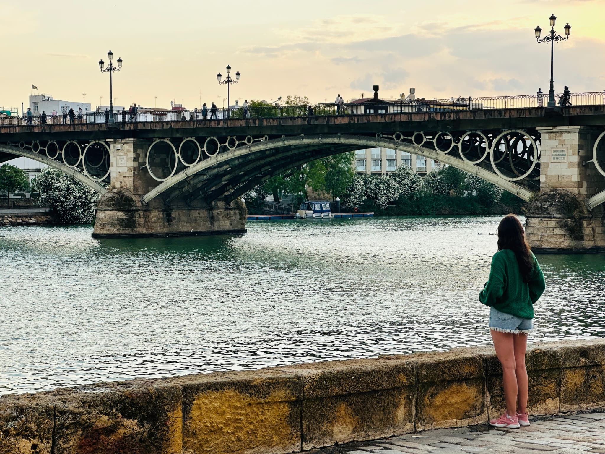 Seville Highlights Tour: Royal Alcazar of Seville, Triana Bridge, Flamenco Show - main image