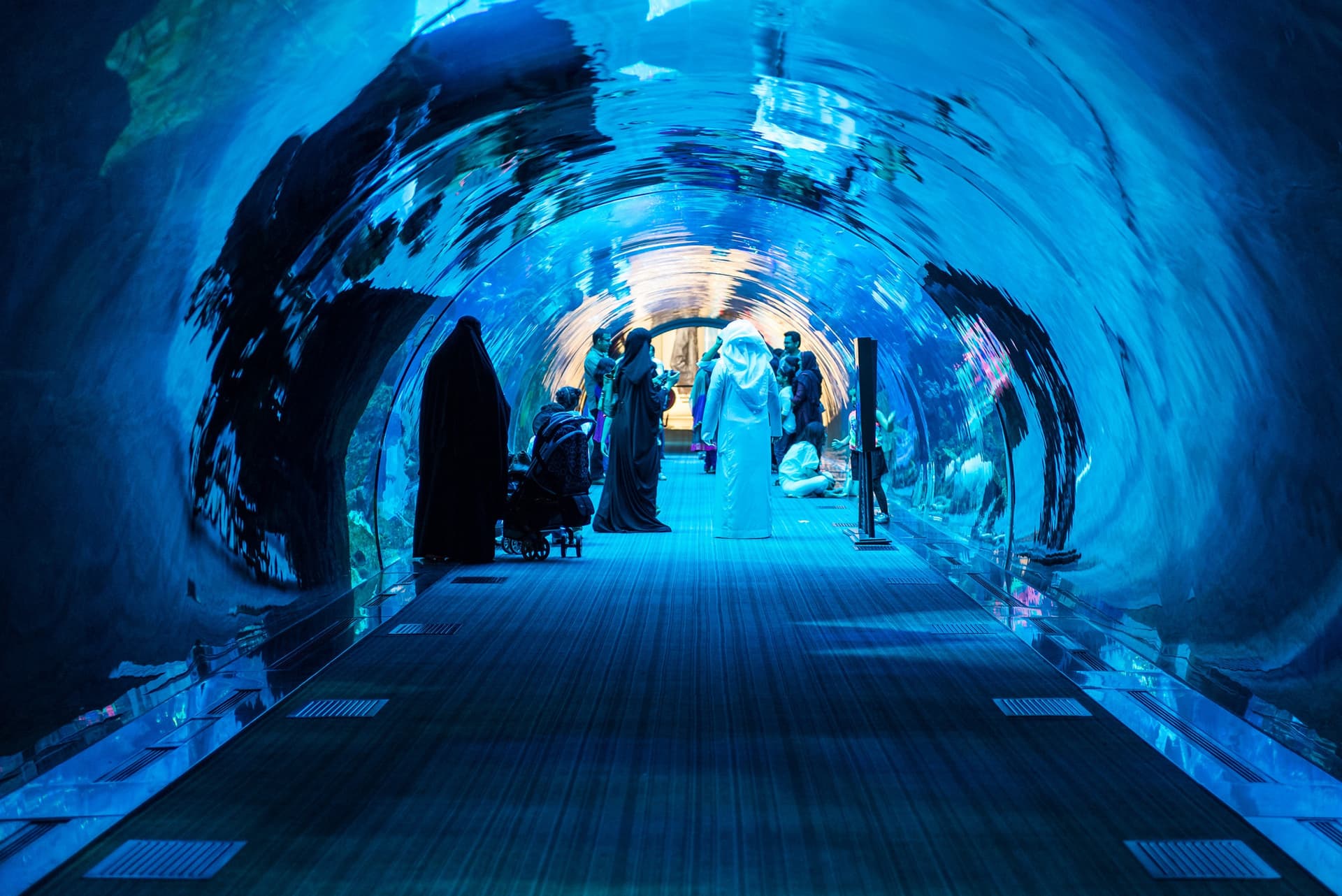 Entrada para Dubai Aquarium and Underwater Zoo - imagen principal