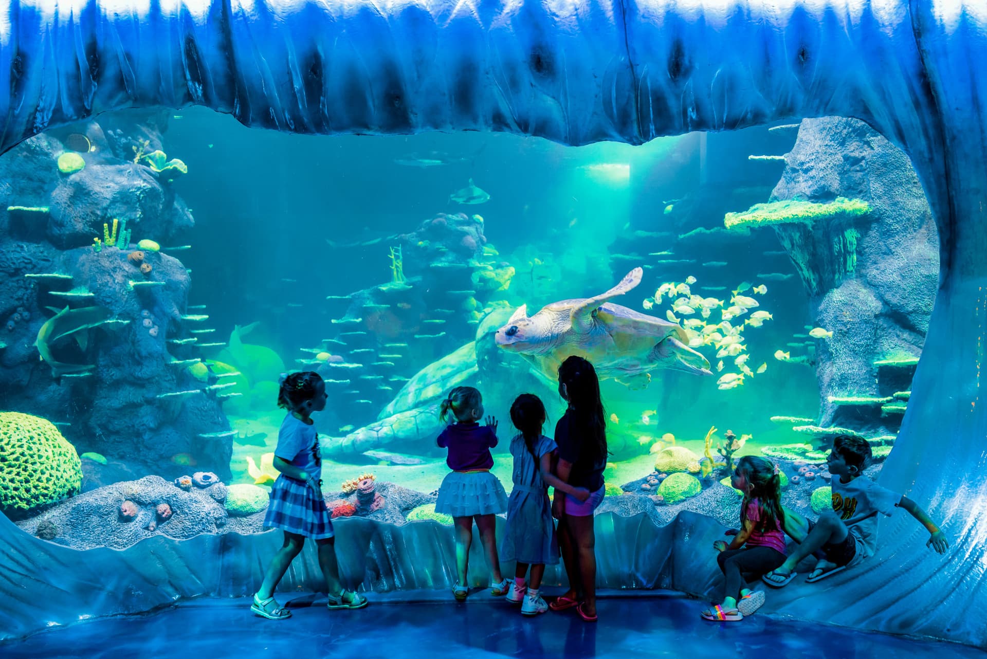 Go City Sydney Essentials Pass: 3 Attractions - image 13