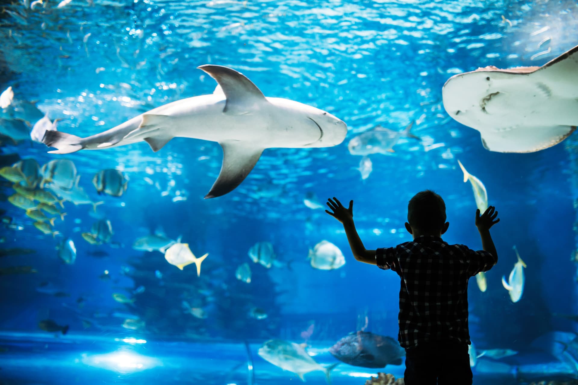Go City Philadelphia All-Inclusive Pass: Ahorre hasta un 50% en atracciones - imagen 2
