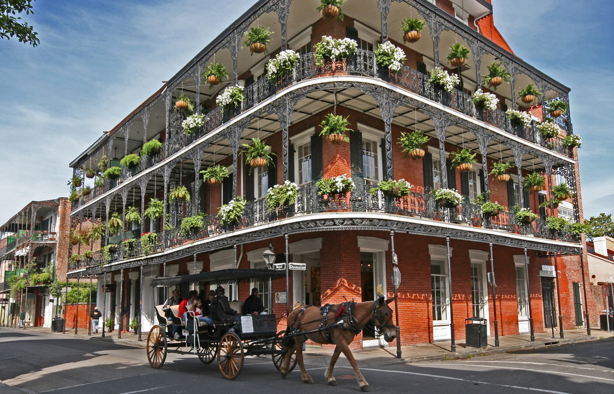 Go City New Orleans All-Inclusive Pass: Save up to 50% on Attractions - image 2