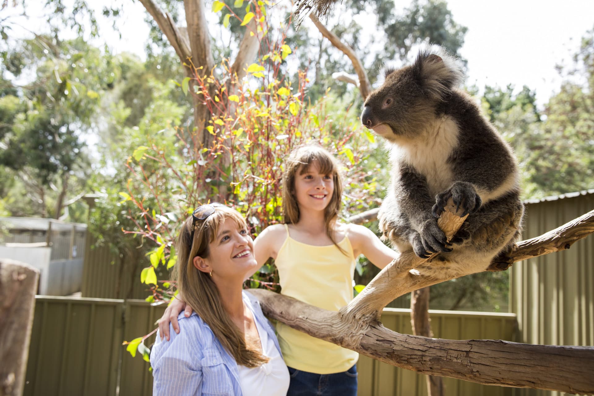 Kangaroo Island Tour from Adelaide - image 8