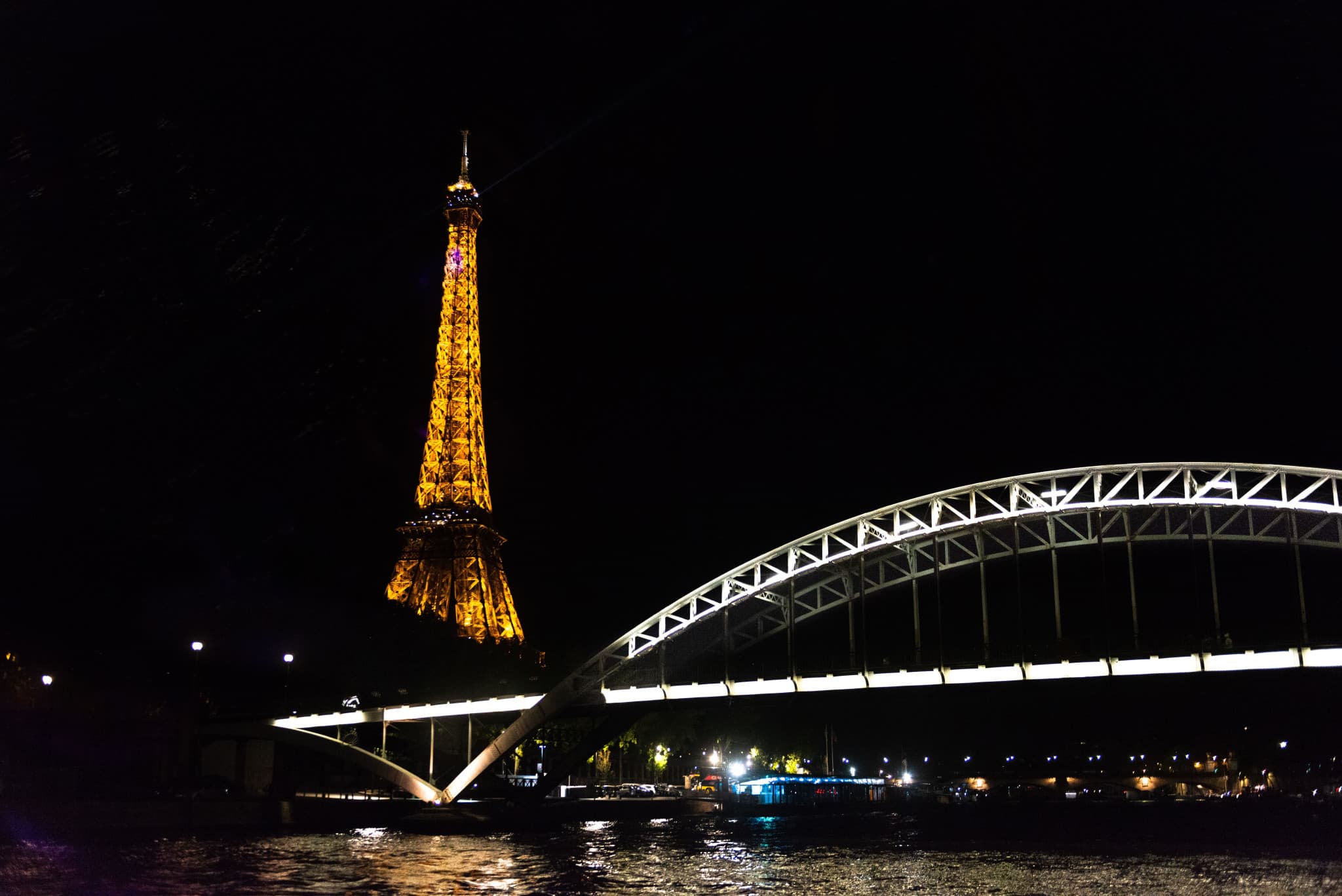 Dinner Cruise on the Seine River - image 6