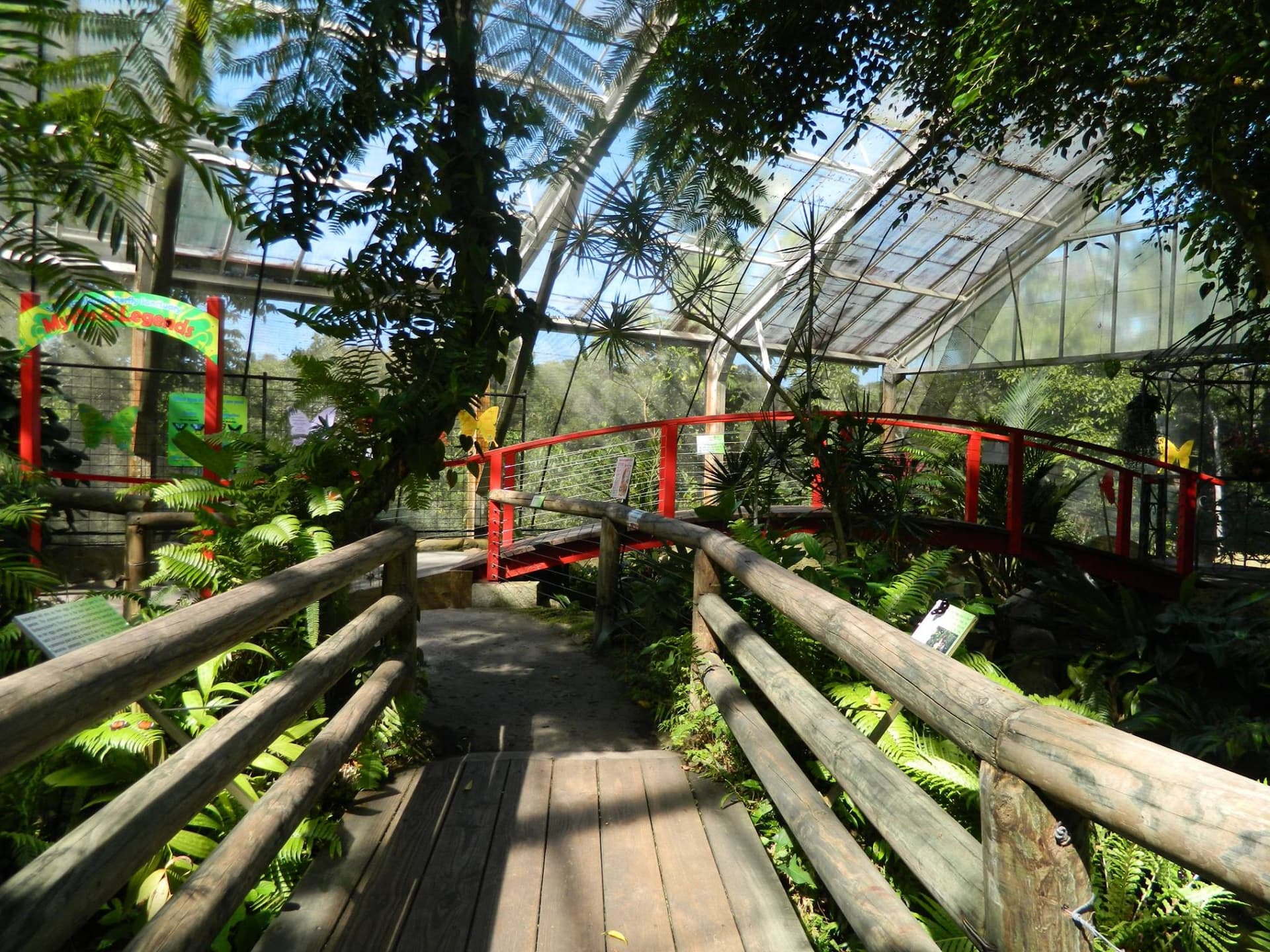 Australian Butterfly Sanctuary - image 8