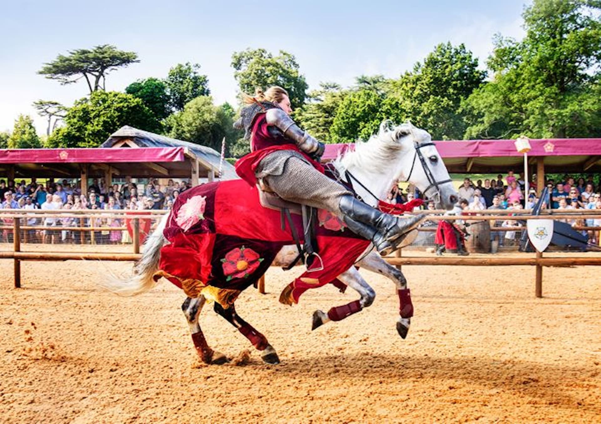Warwick Castle - imagen 2
