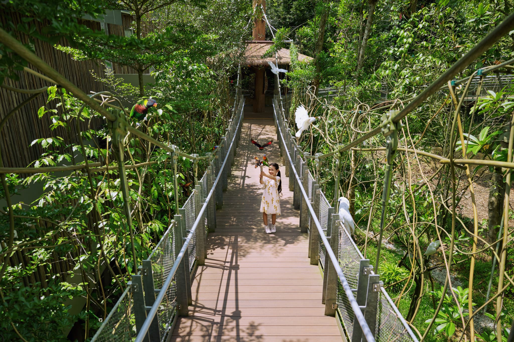 5-in-1 Day Pass: Night Safari + Singapore Zoo + Bird Paradise + River Wonders + Rainforest Adventure - image 5