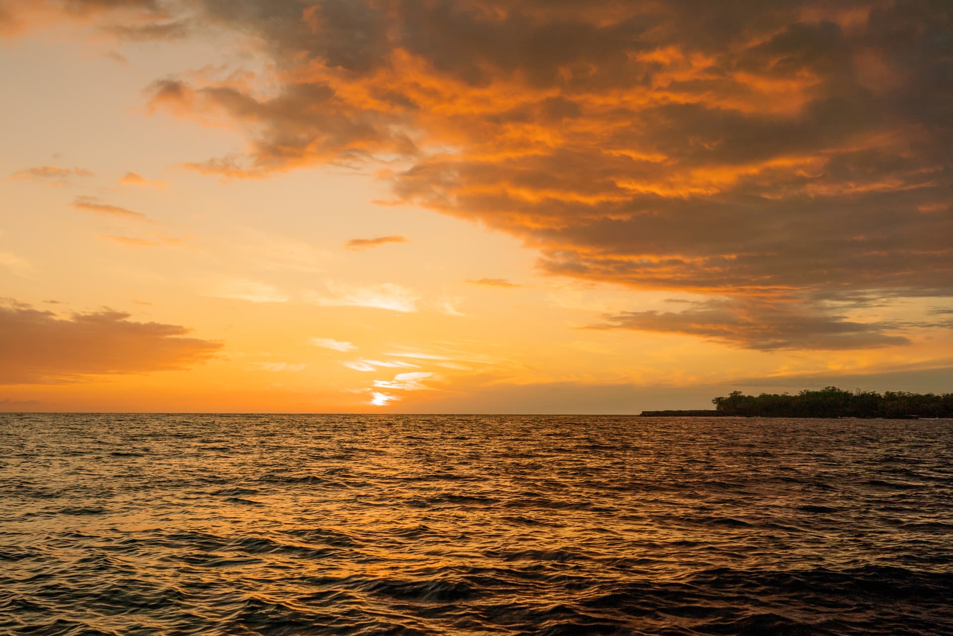 Kona Super-Raft Tours by Body Glove Cruises - imagen 8