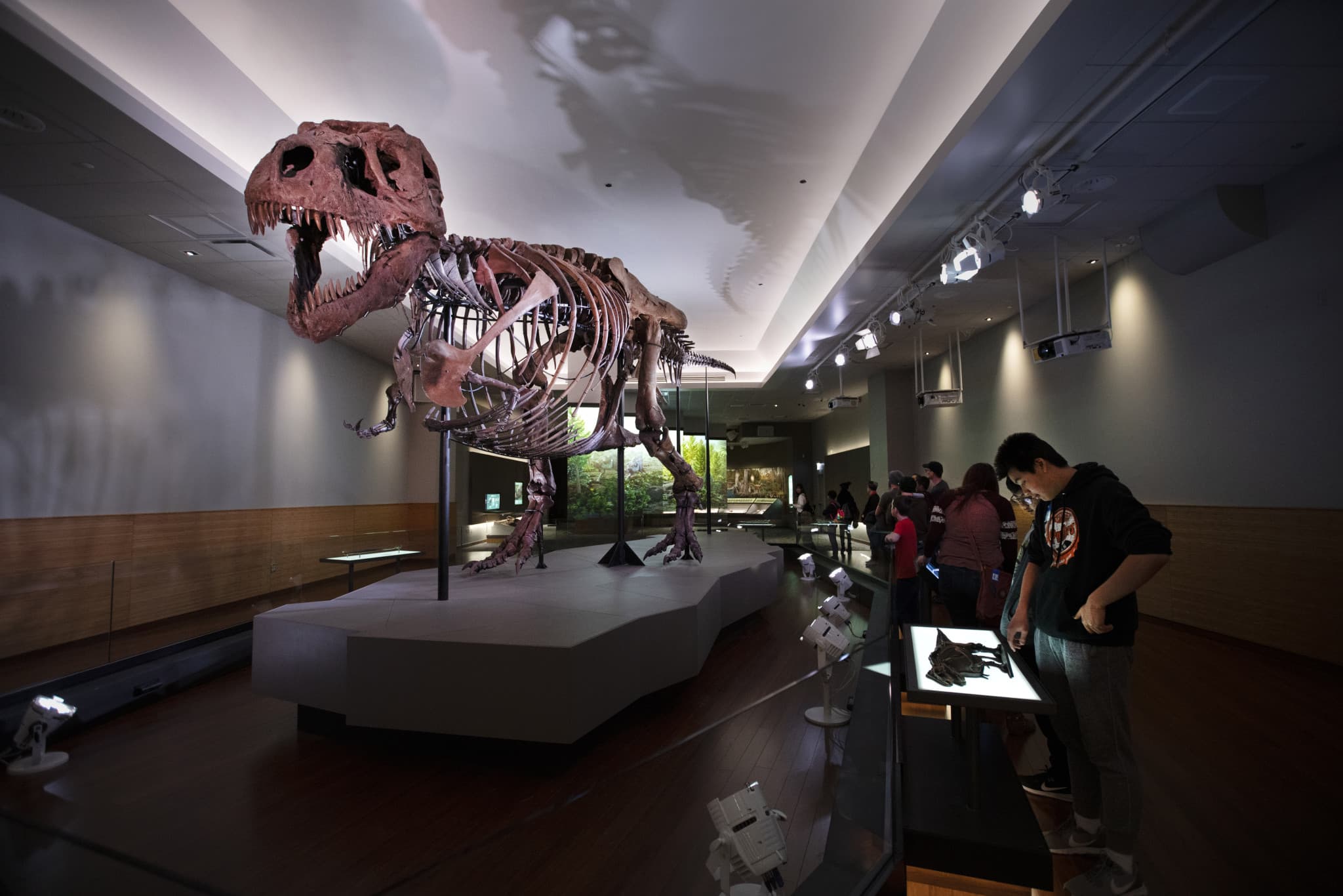 Go City Chicago Explorer Pass: Save up to 50% on Attractions - image 27