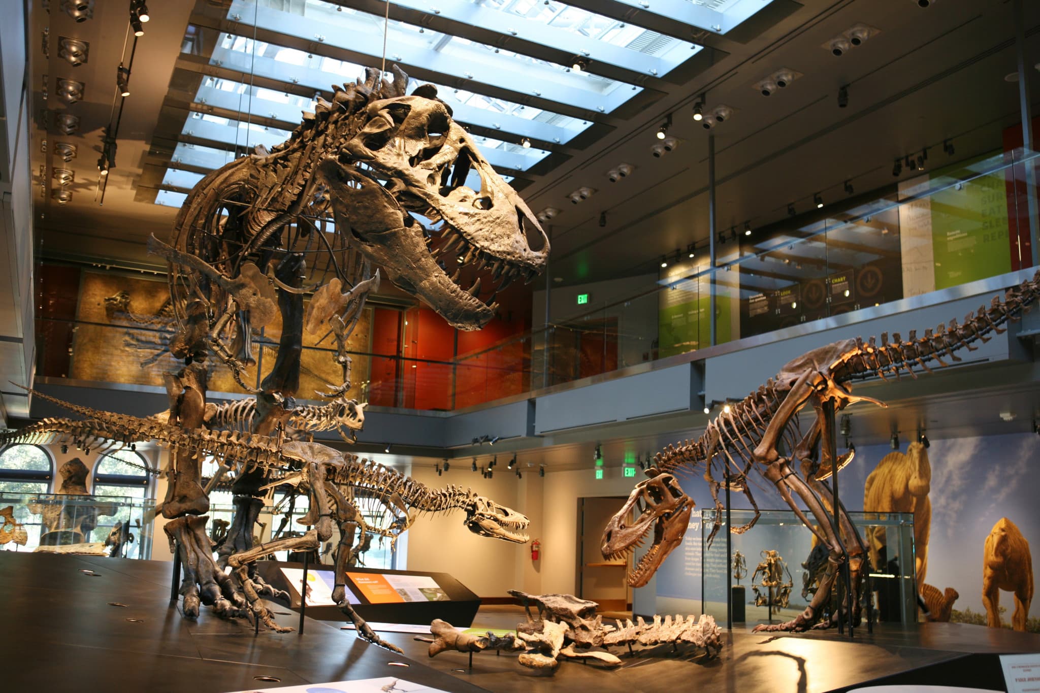 Go City Las Vegas Explorer Pass: Save up to 50% on Attractions - image 39
