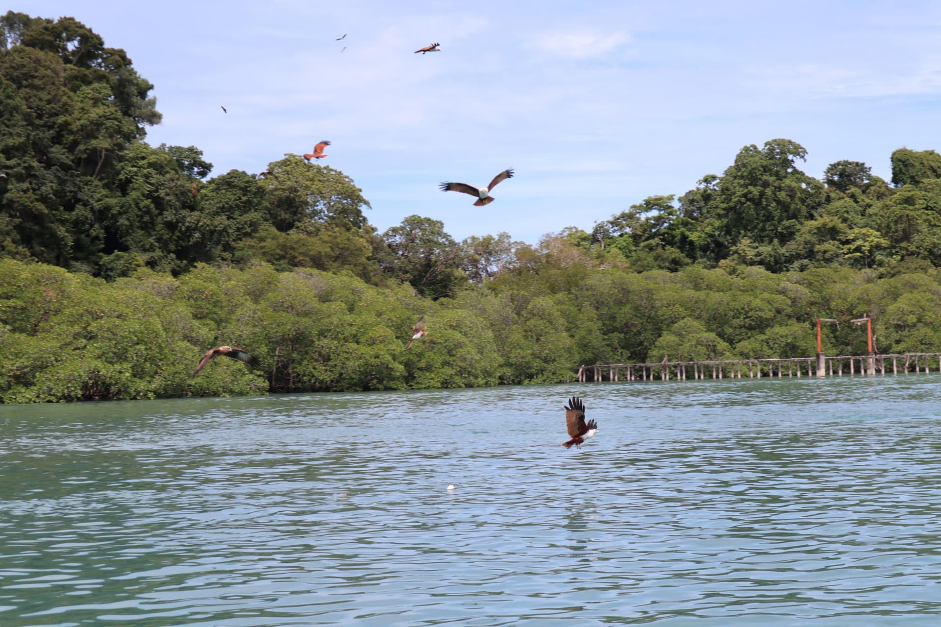 Langkawi Island Hopping Tour by Speedboat - image 8