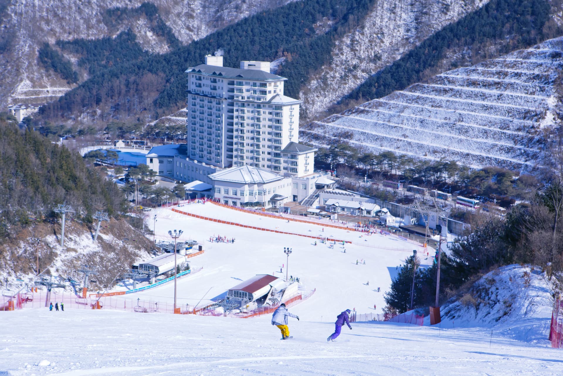 Elysian Gangchon Ski Resort and Nami Island Full-Day Tour from Seoul - imagen 4