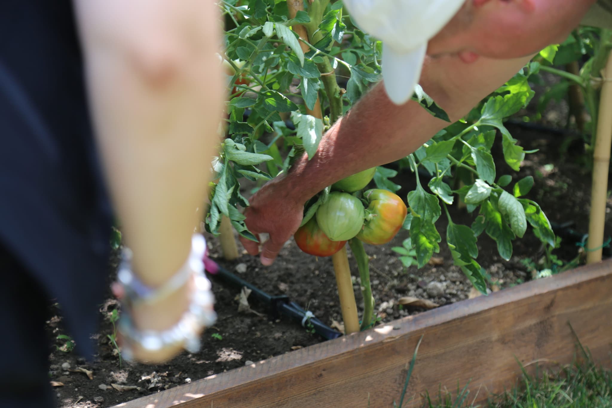 Sorrento Cooking Class & Food Experience - image 8