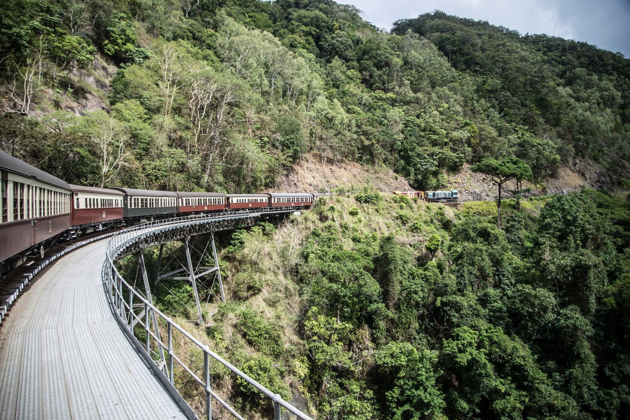 Kuranda Rainforestation Nature Park Full-Day Tour from Cairns with Kuranda Scenic Railway - image 3