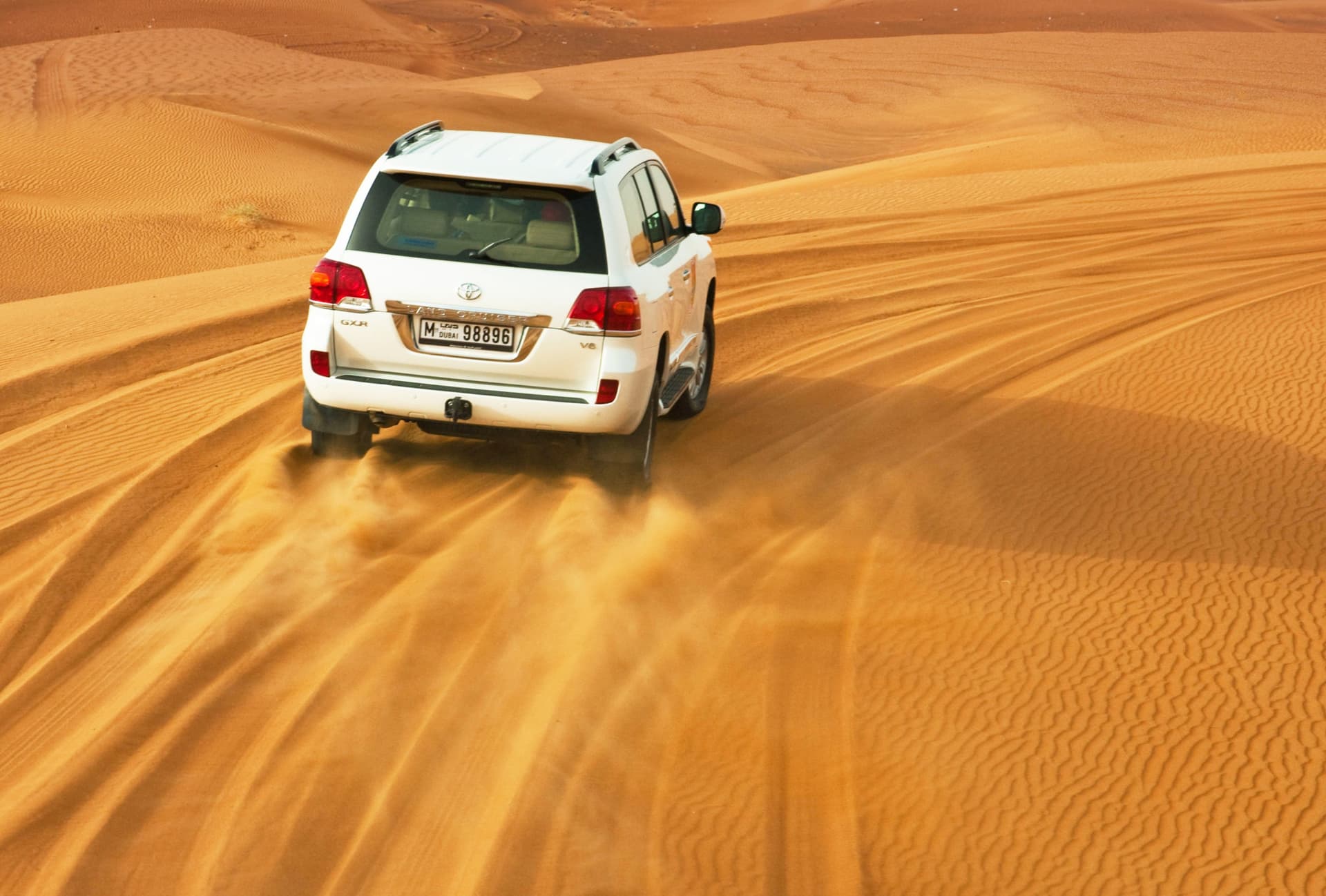 Liwa Desert Safari Tour - imagen 6