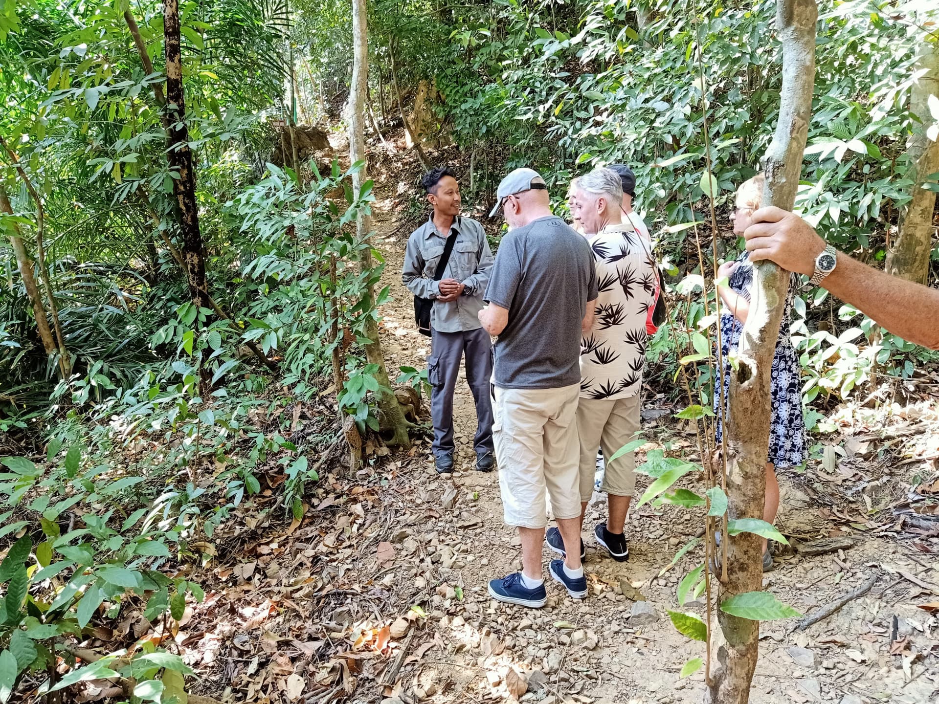 Langkawi Morning Rainforest Walking Tour - main image