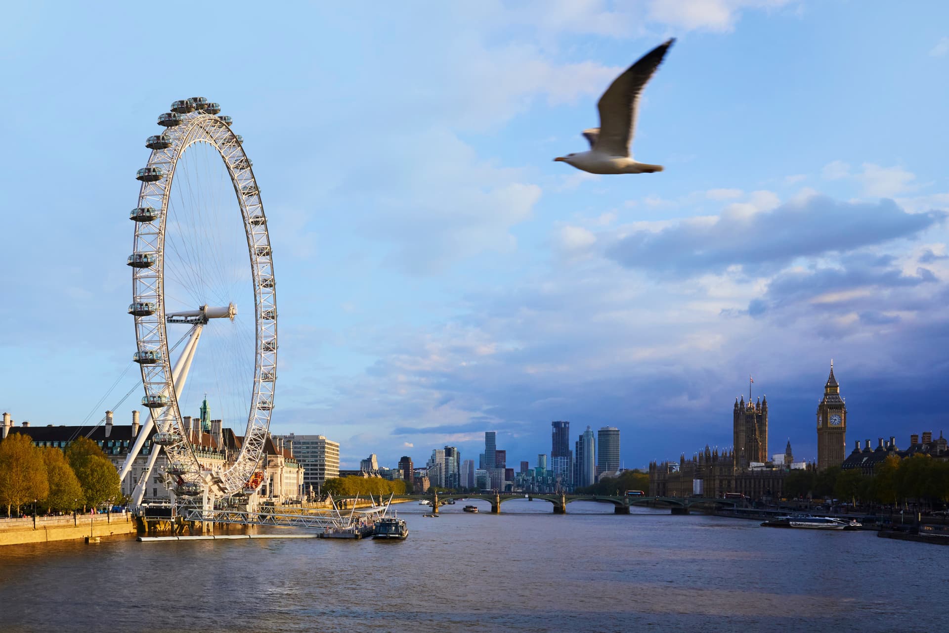 COMBO: London Eye + SEA LIFE London Aquarium Ticket - main image