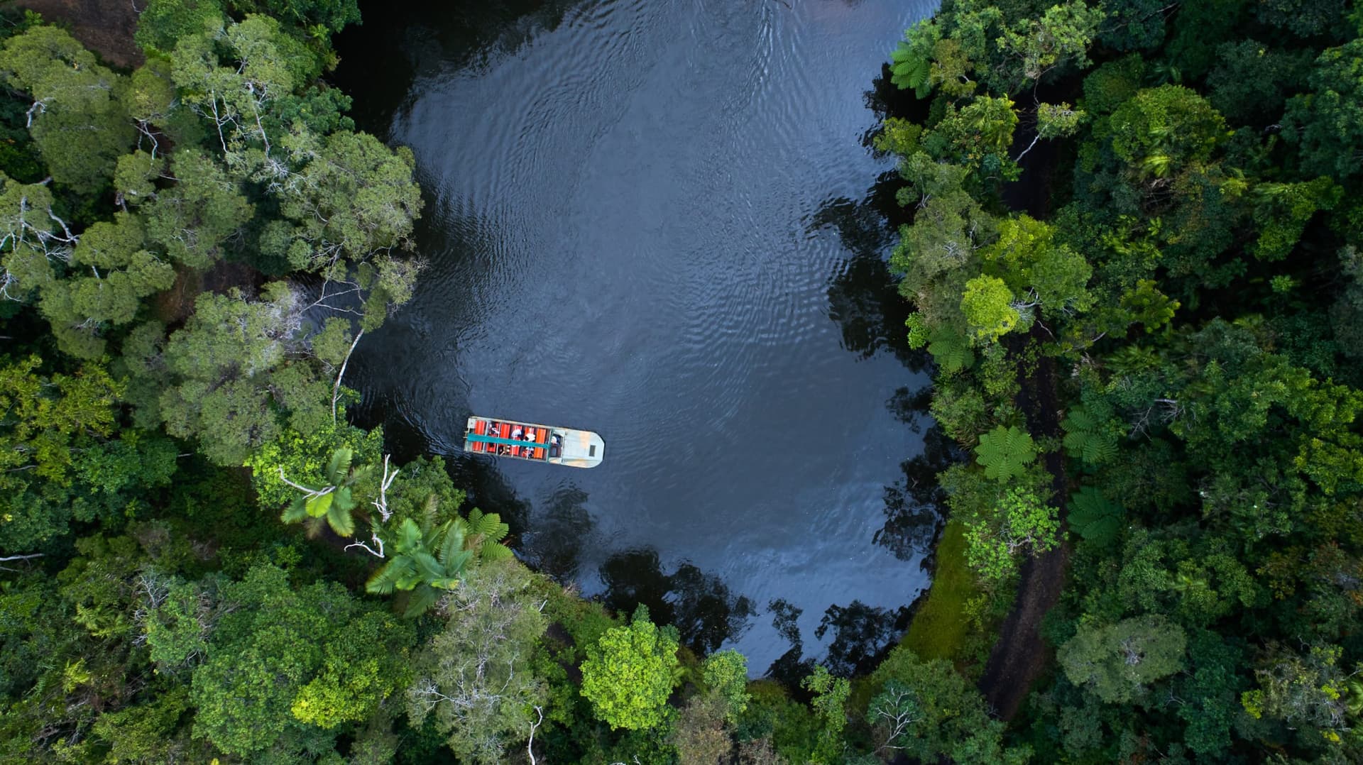 Full-Day Kuranda Tour with Skyrail Cableway, Scenic Railway, Rainforestation and Butterfly Sanctuary - imagen 8