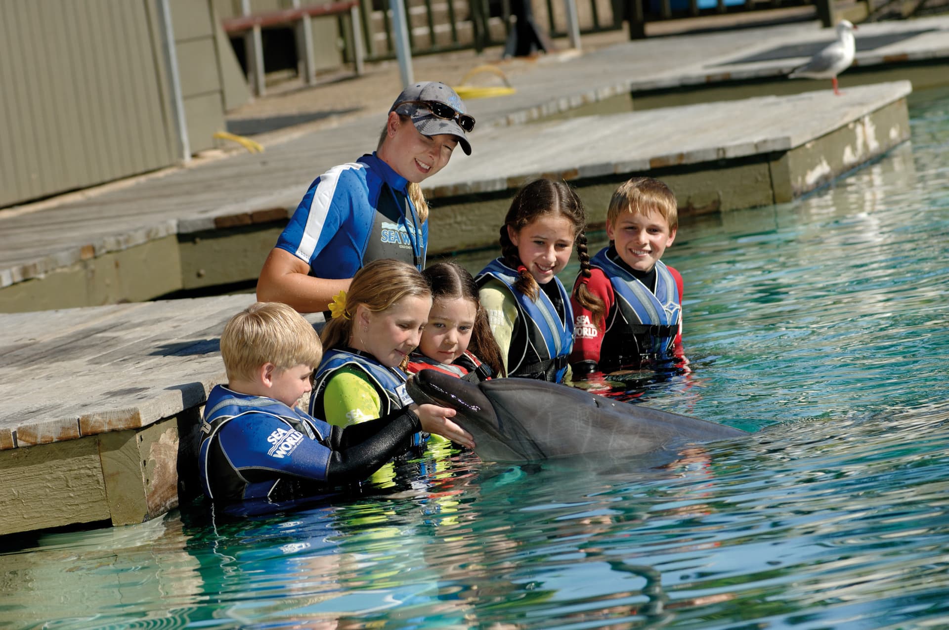 Entrada a Sea World Gold Coast - imagen 14