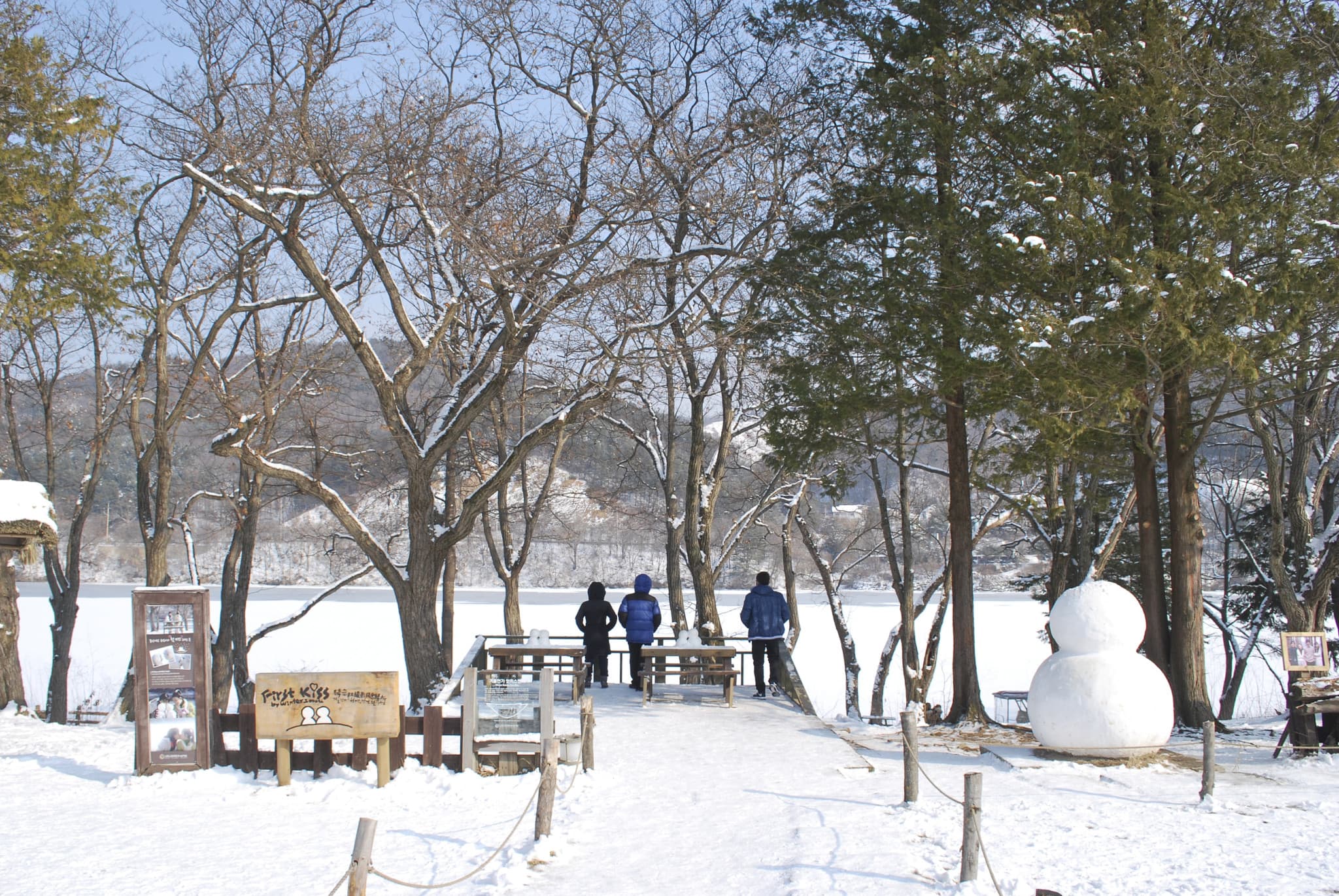 Elysian Gangchon Ski Resort and Nami Island Full-Day Tour from Seoul - image 16