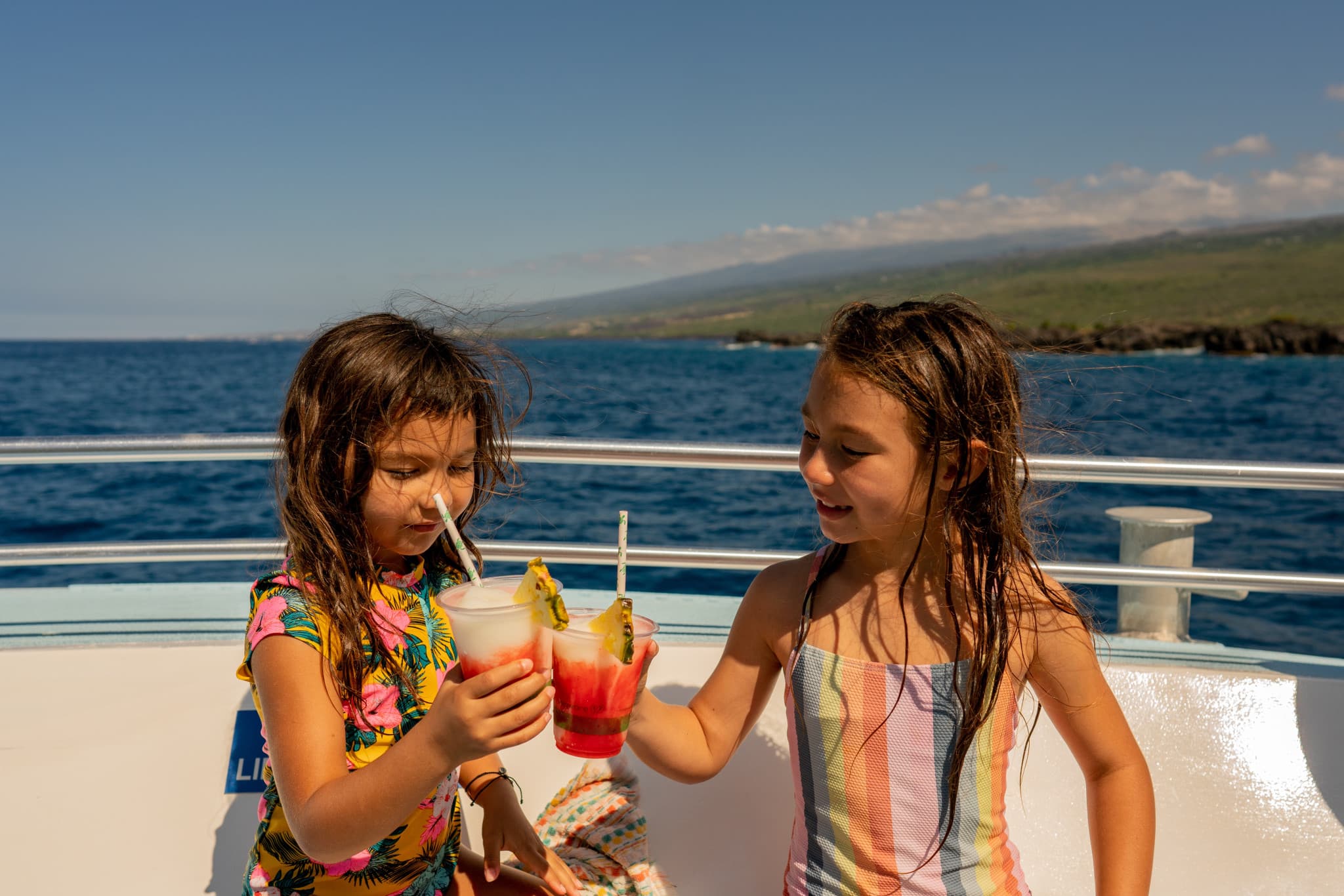 Kona Dolphin Watching Cruise with Snorkelling Experience - image 8