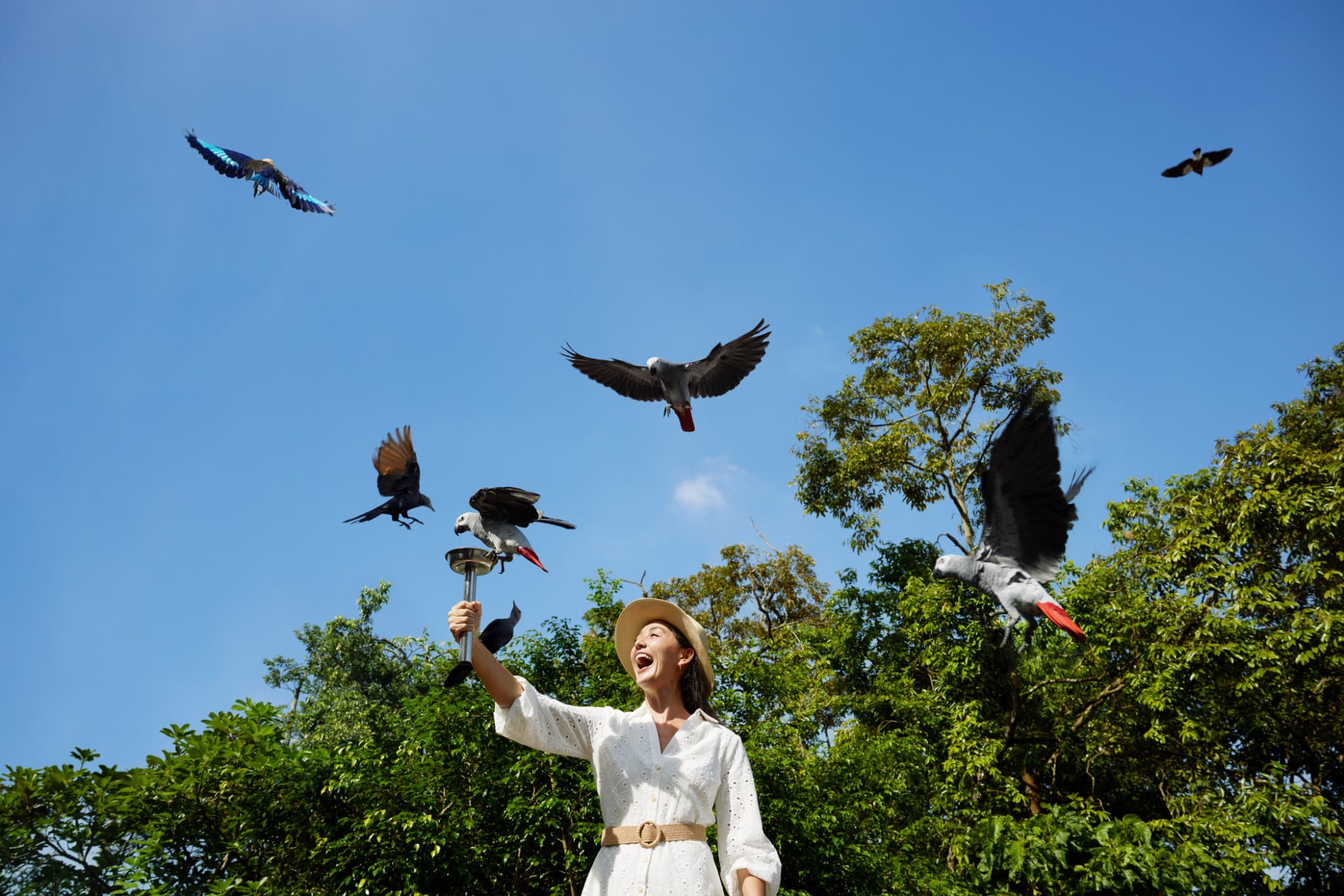 5-in-1 Day Pass: Night Safari + Singapore Zoo + Bird Paradise + River Wonders + Rainforest Adventure - image 3