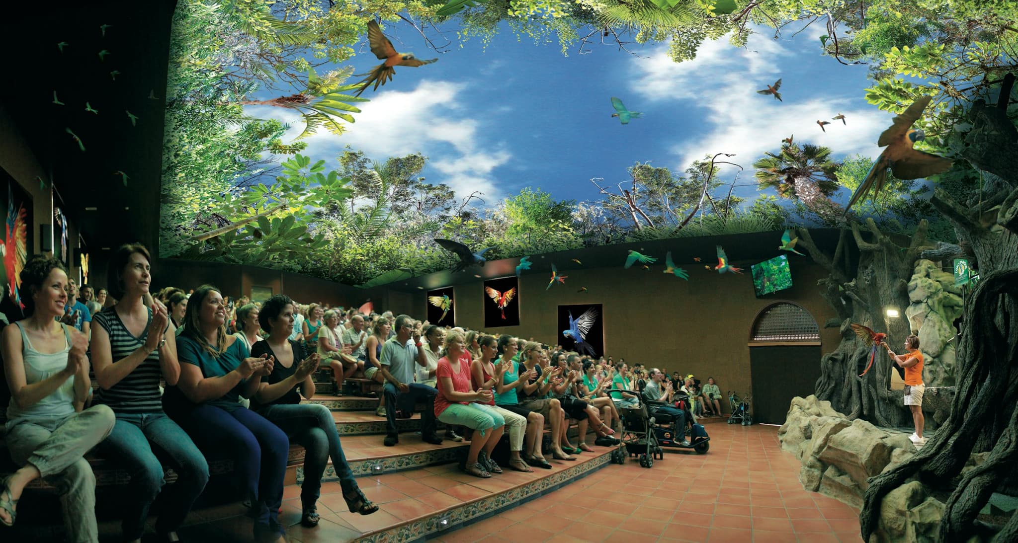 Loro Parque Ticket - image 2