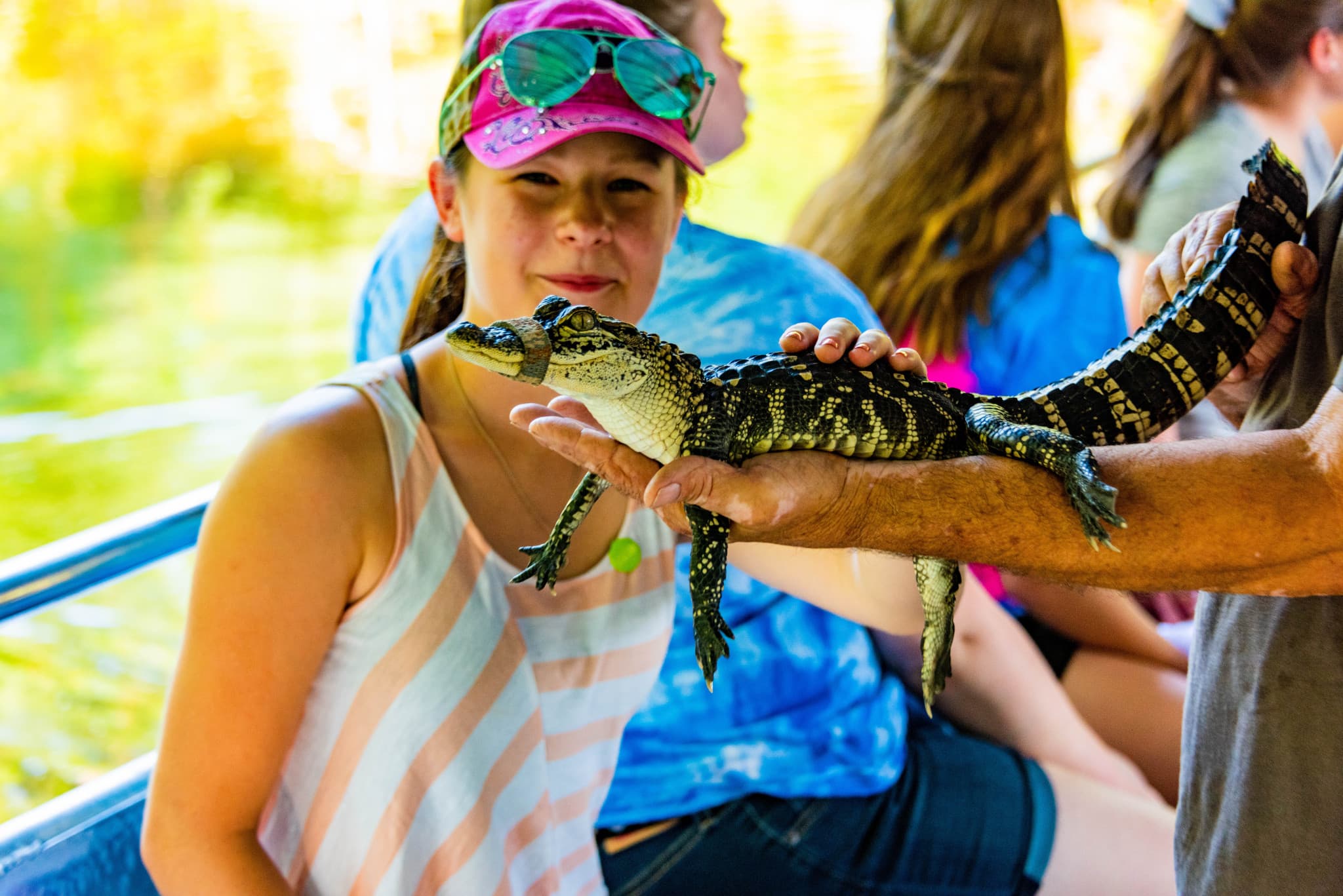 Go City New Orleans All-Inclusive Pass: Save up to 50% on Attractions - image 14