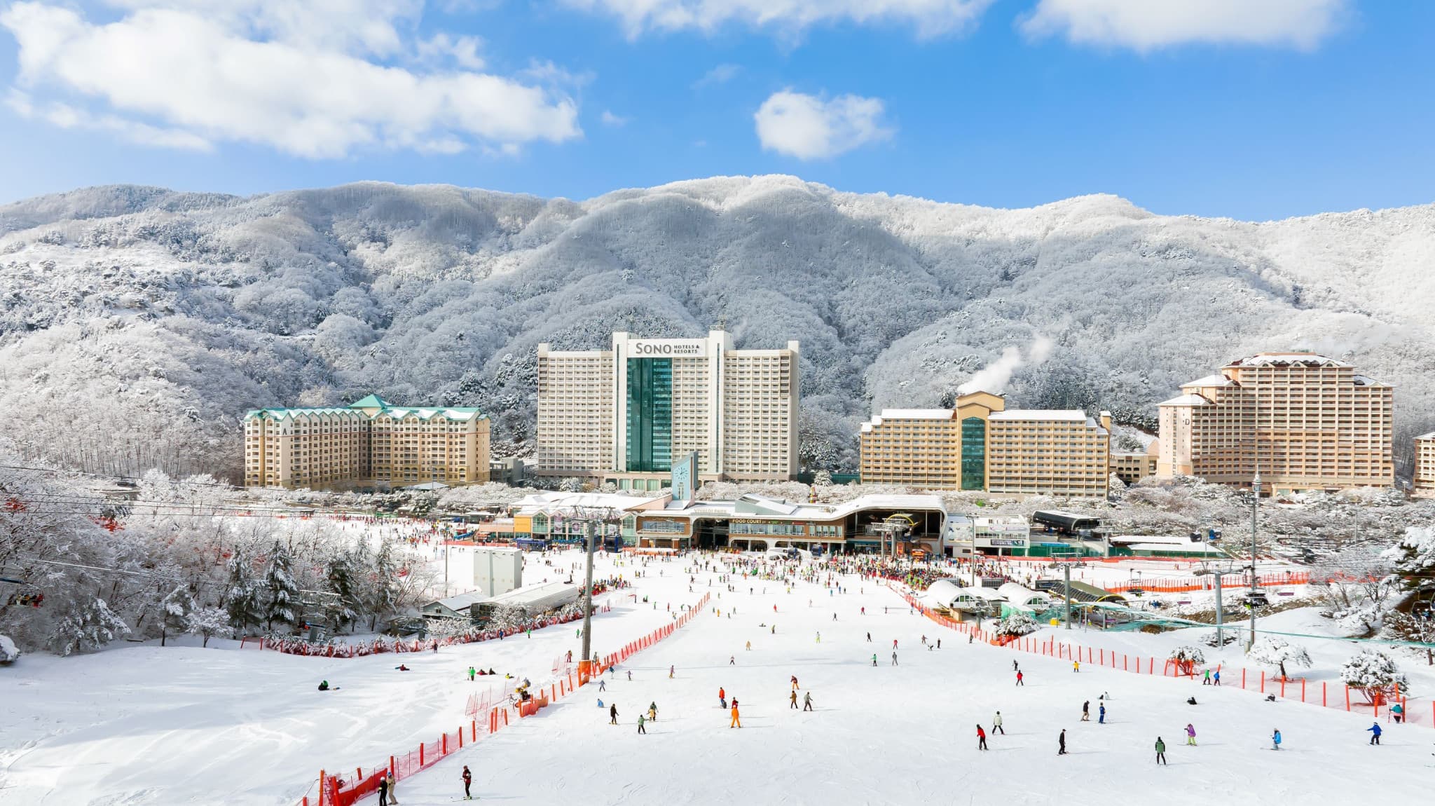 Vivaldi Park Winter Ski and Eobi Ice Valley Day Tour from Seoul - image 4