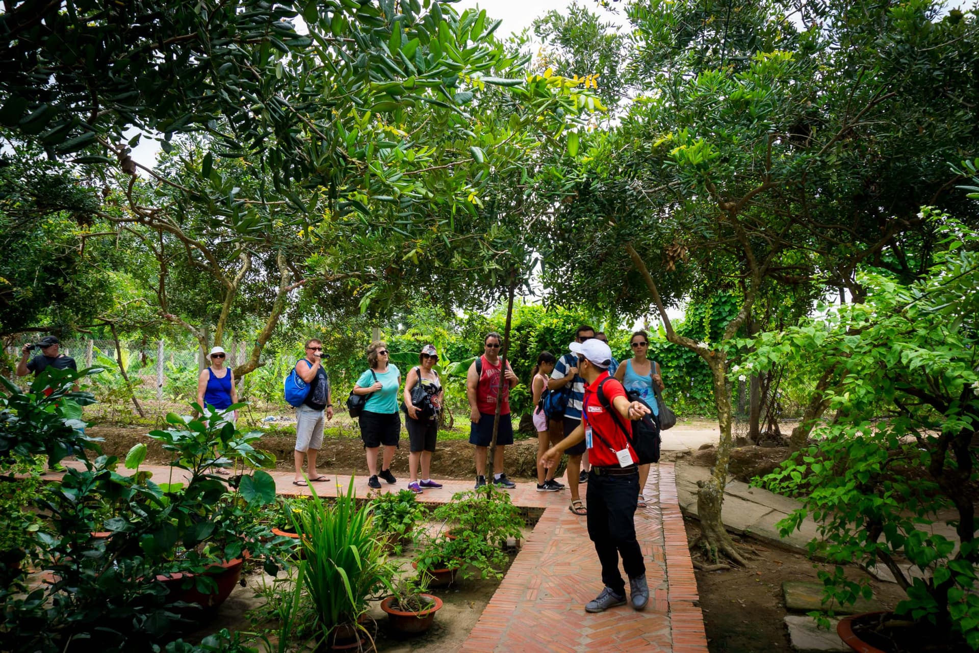 Tour de día completo por el delta del Mekong desde Ciudad Ho Chi Minh - imagen 6