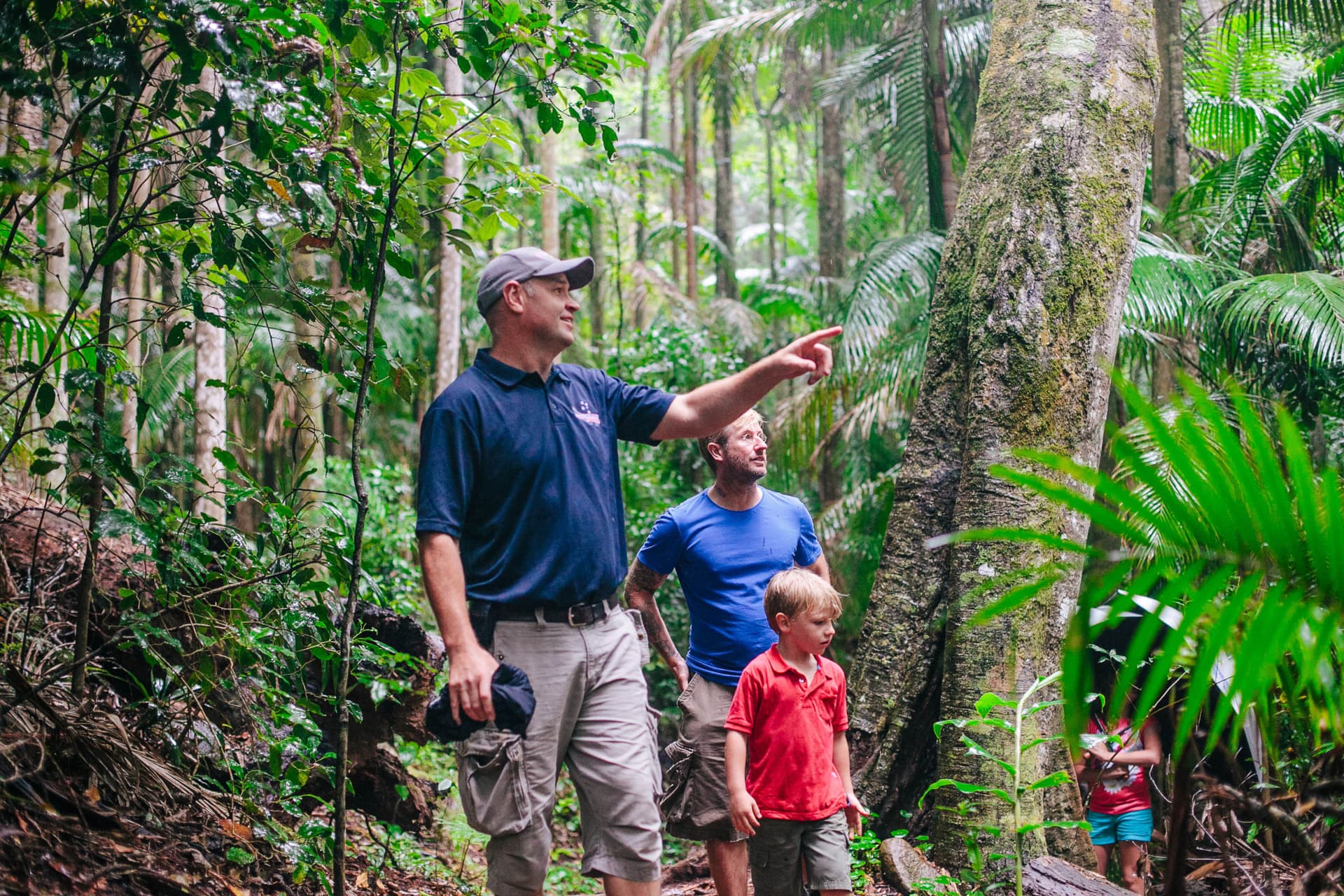 Tamborine Mountain Guided Walk and Wine Tasting Tour - imagen 2