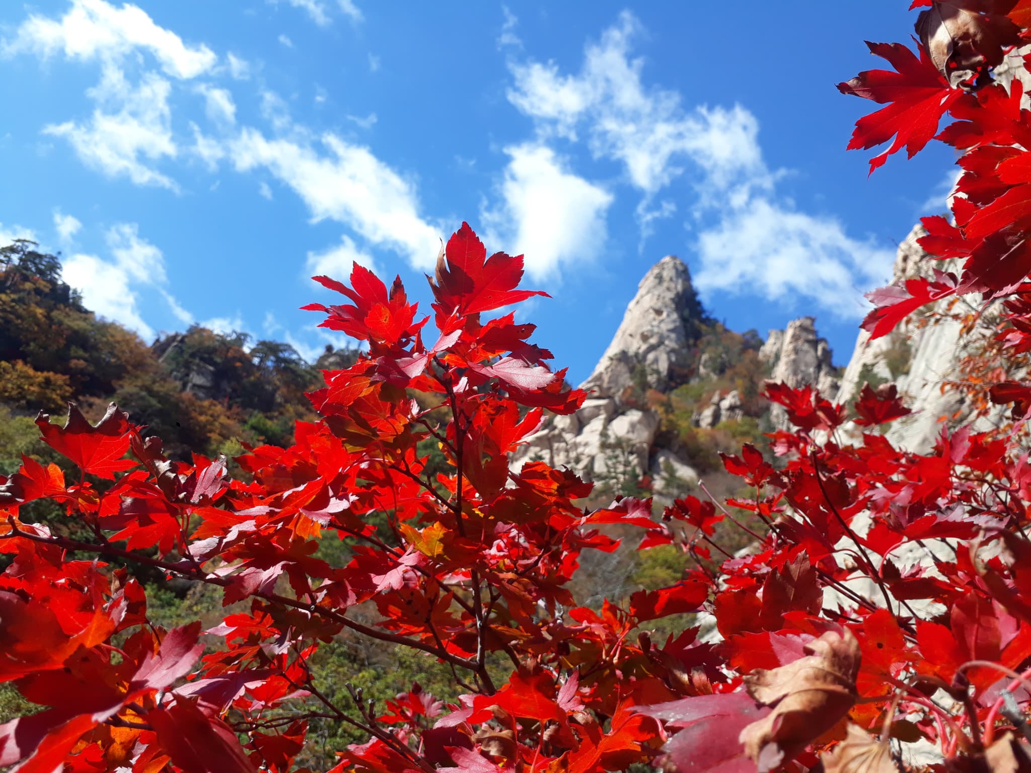 Nami Island and Mount Seorak Full-Day Tour from Seoul - image 4