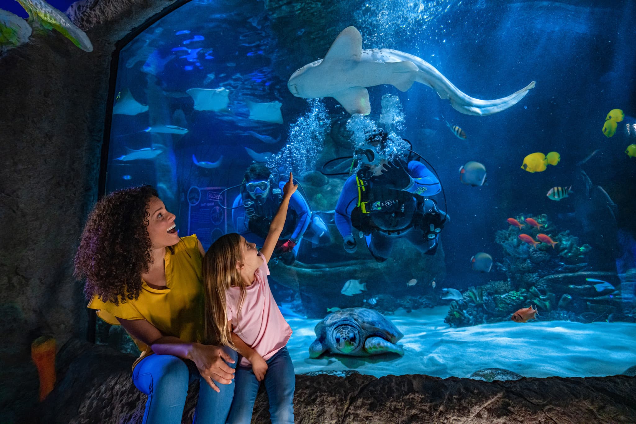 COMBO: Madame Tussauds Orlando + SEA LIFE Orlando Aquarium Ticket - image 13