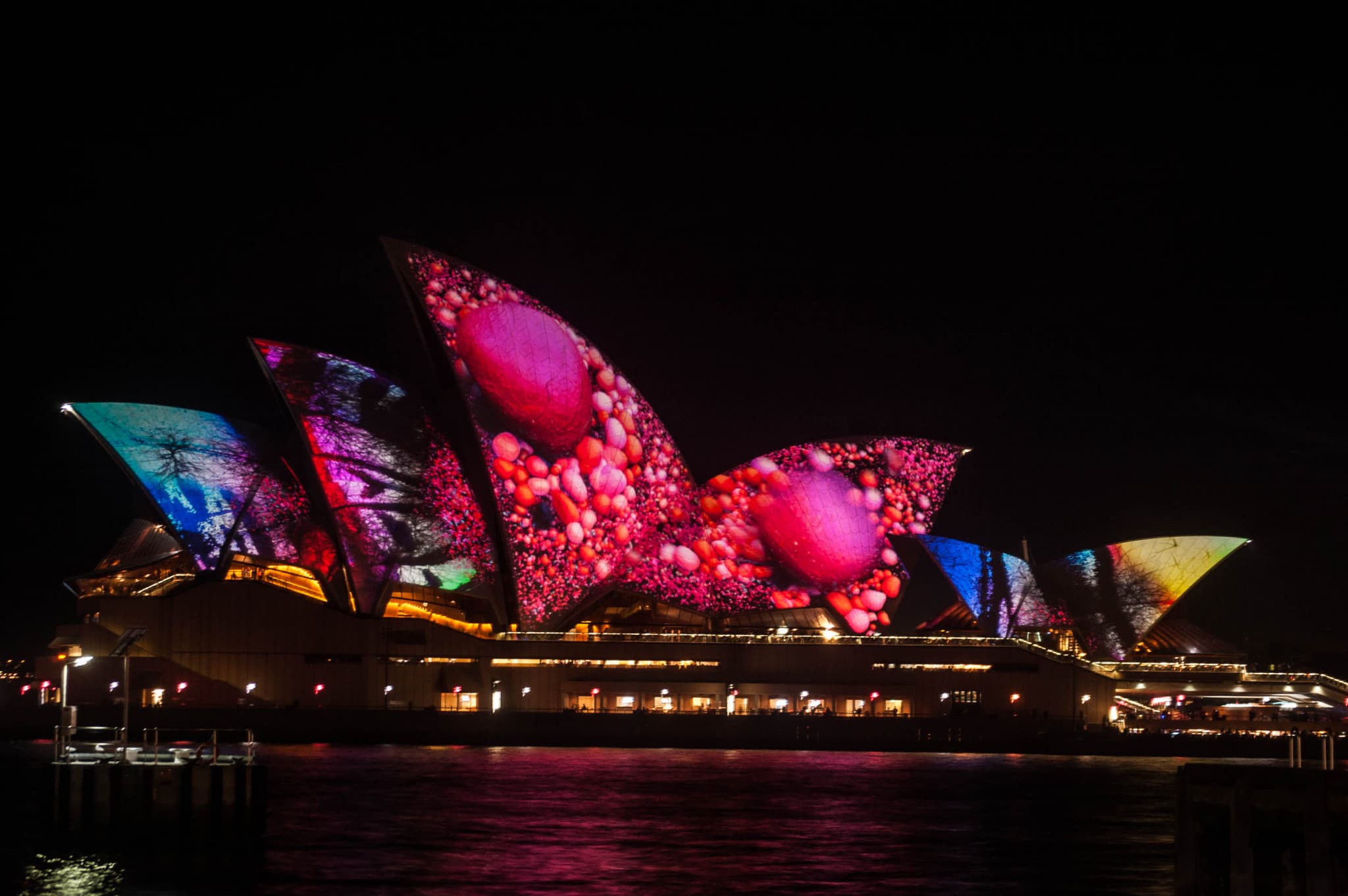 Vivid Festival of Light and Sound Cruise with Buffet Dinner aboard Sydney Princess Cruises - image 6