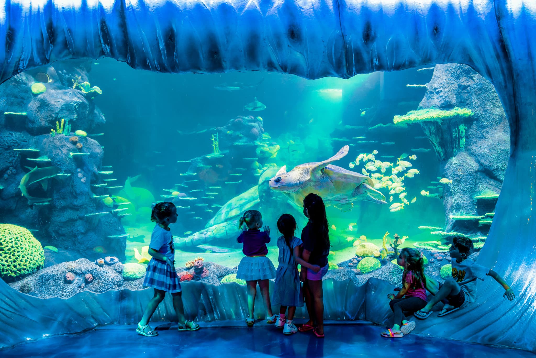 Go City Sydney All-Inclusive Pass: Save up to 50% on Attractions - image 30