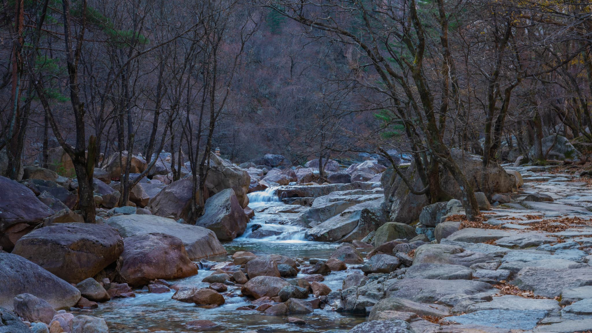 Mount Seorak and Naksansa Temple Tour from Seoul - image 10