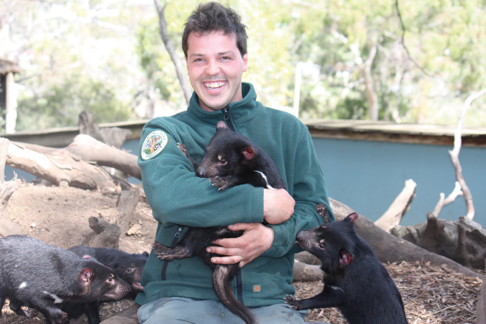 Bonorong Wildlife Sanctuary and Hobart City Tour - main image