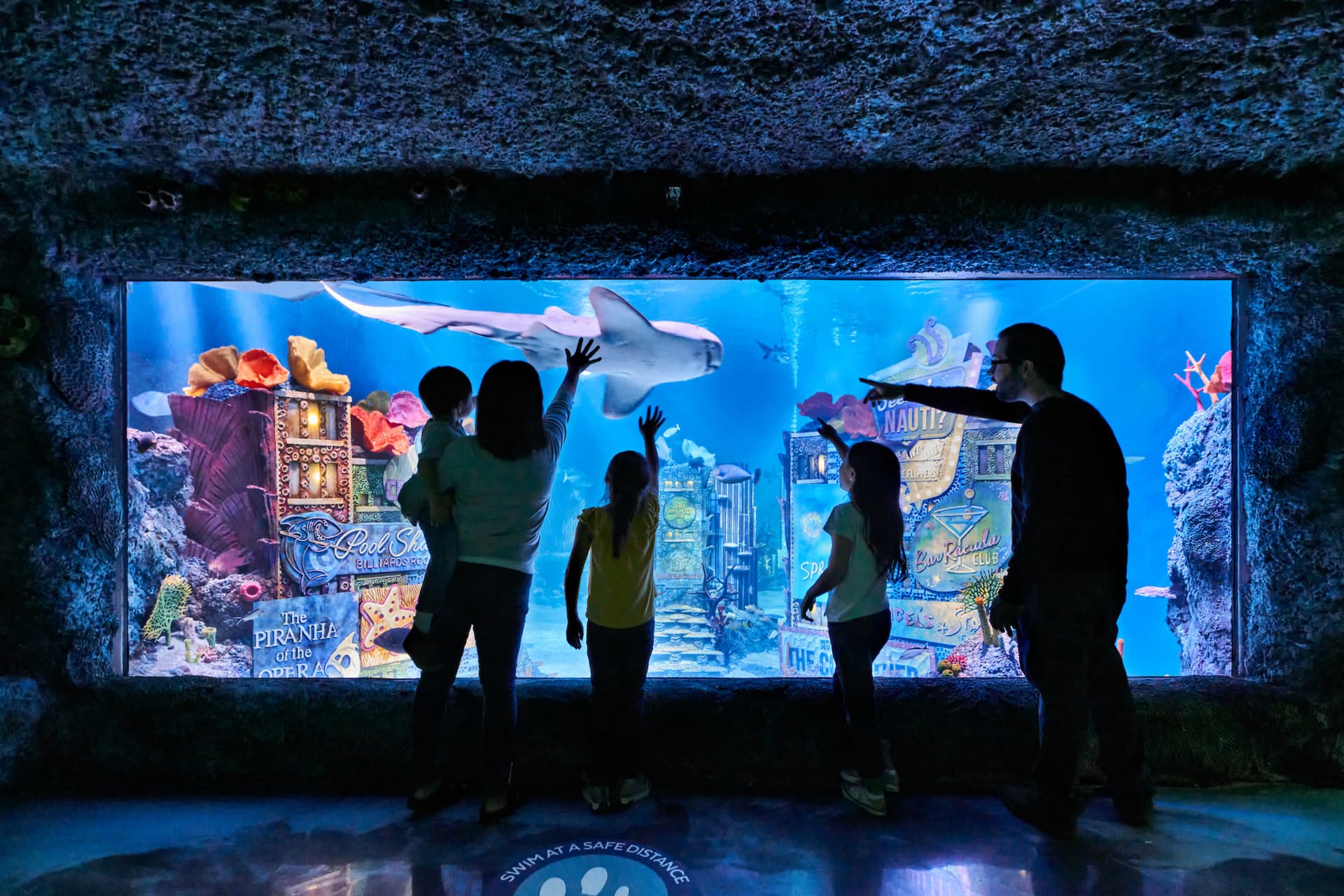 SEA LIFE New Jersey Aquarium Ticket - imagen 2