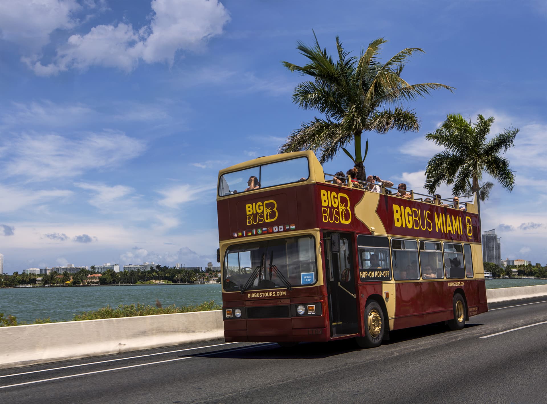 Go City Miami Explorer Pass: Ahorre hasta un 50% en atracciones - imagen 6