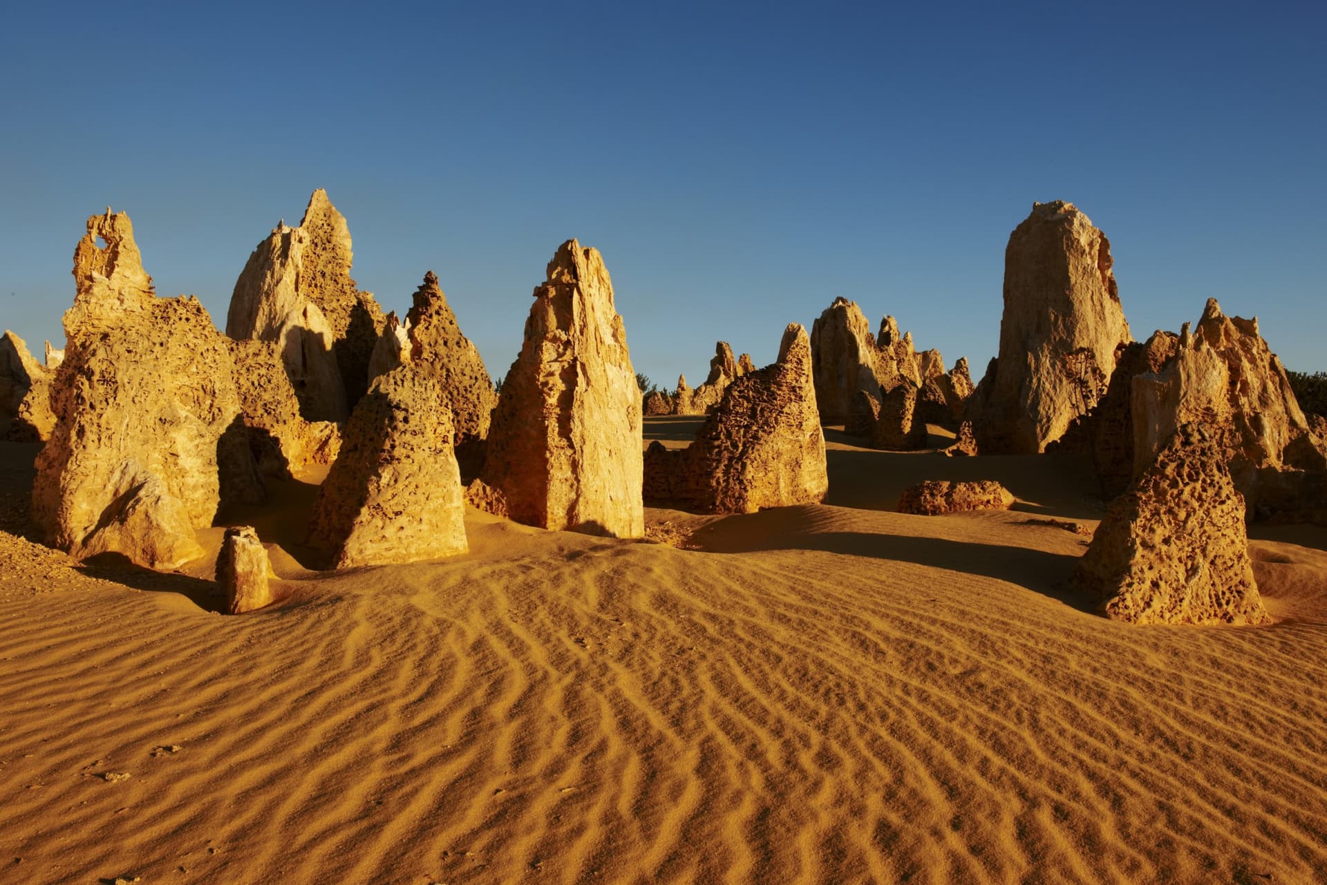 Pinnacles Desert Sunset and Stargazing Tour from Perth - image 3