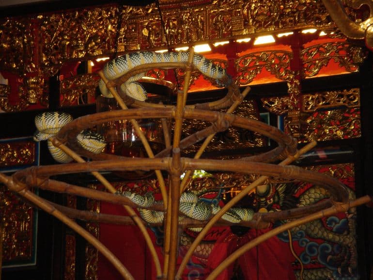 Penang Round Island Tour - image 5